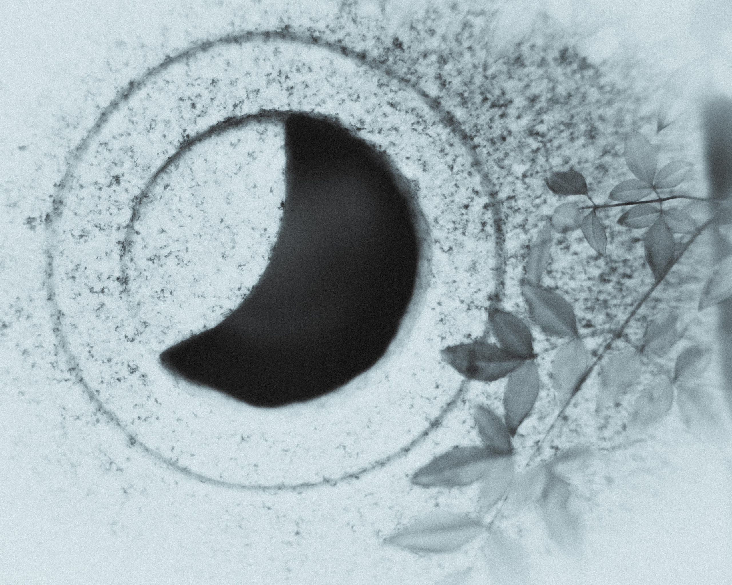 Silence. Главная