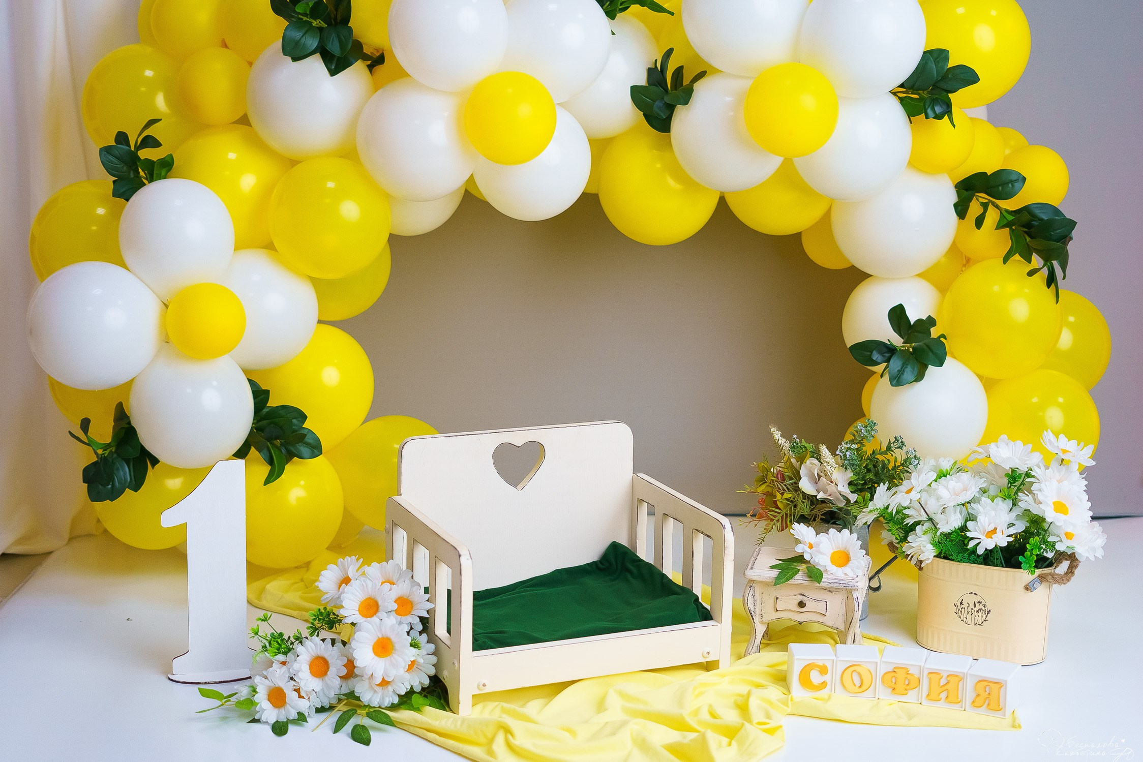 Шары к тарифу «годик эксклюзив». Фотограф новорожденных в г. Павлово Беспалова Екатерина