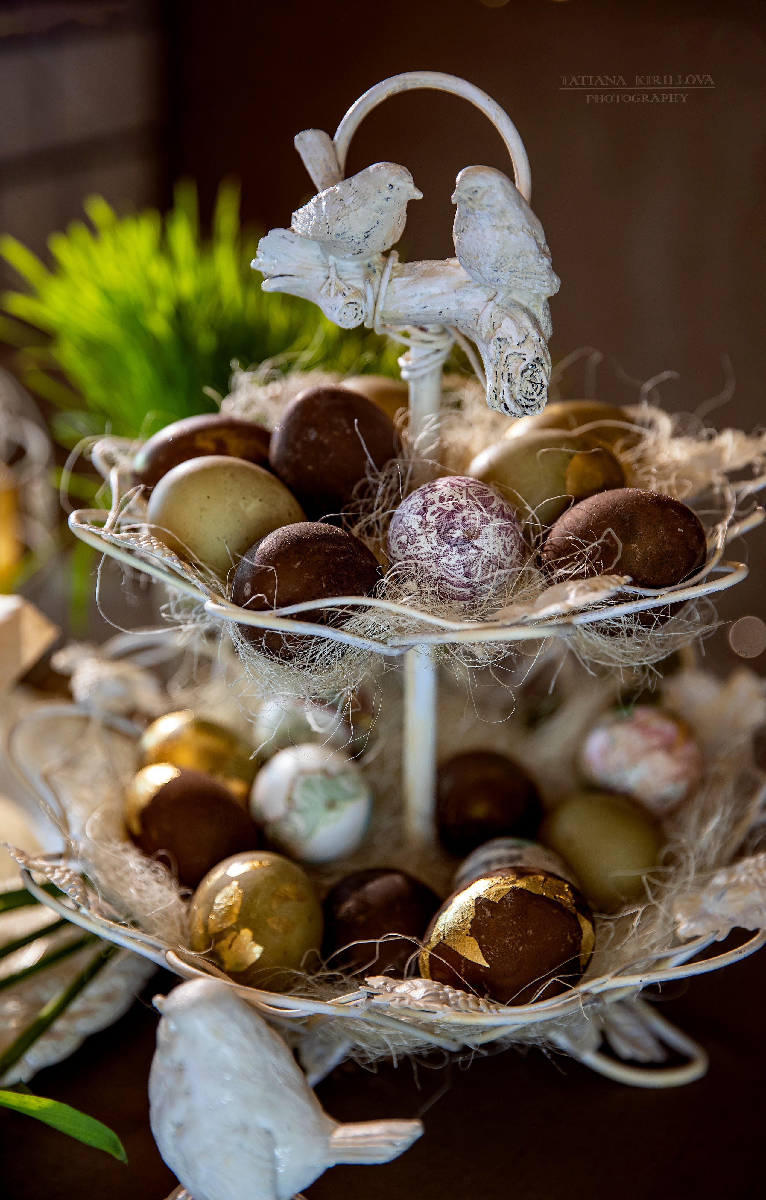 Пасхальные фото. Фотограф — Татьяна Кириллова, г. Санкт-Петербург