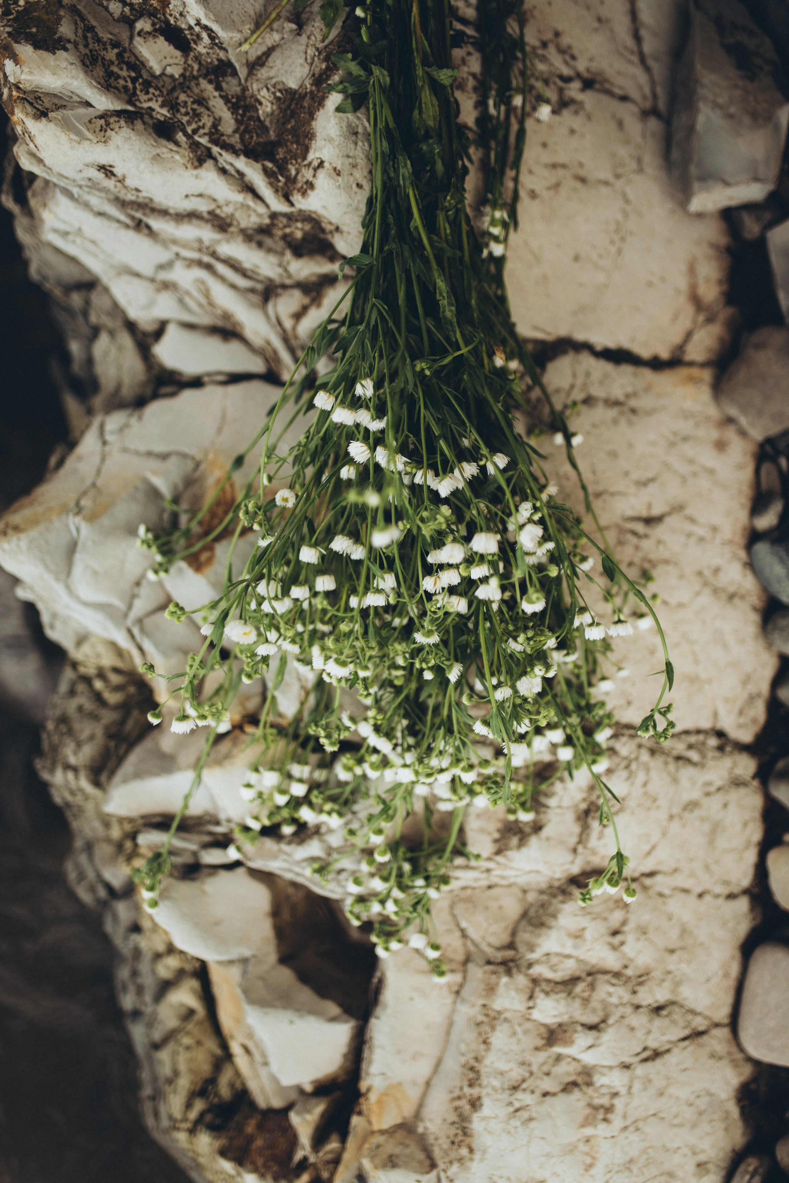 Фотосессия девушек в горах сочи. Фотограф в Сочи — Маргарита Поганова