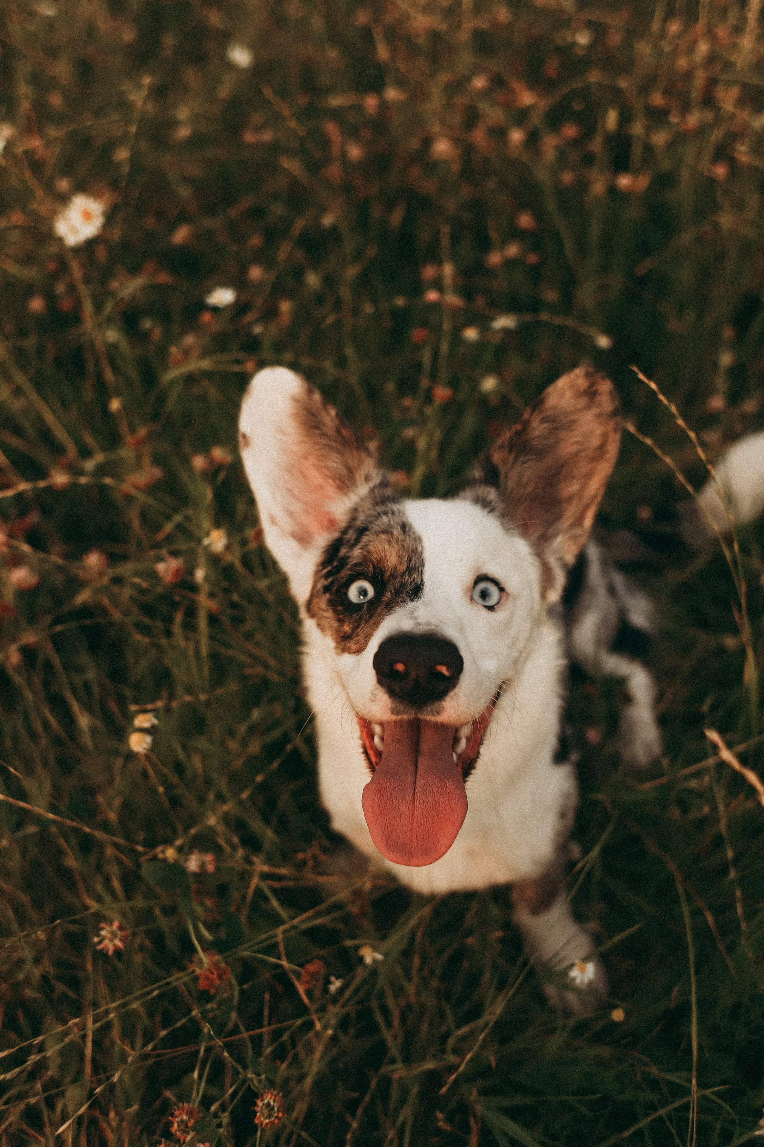 1. Фотограф Москва и Санкт-Петербург