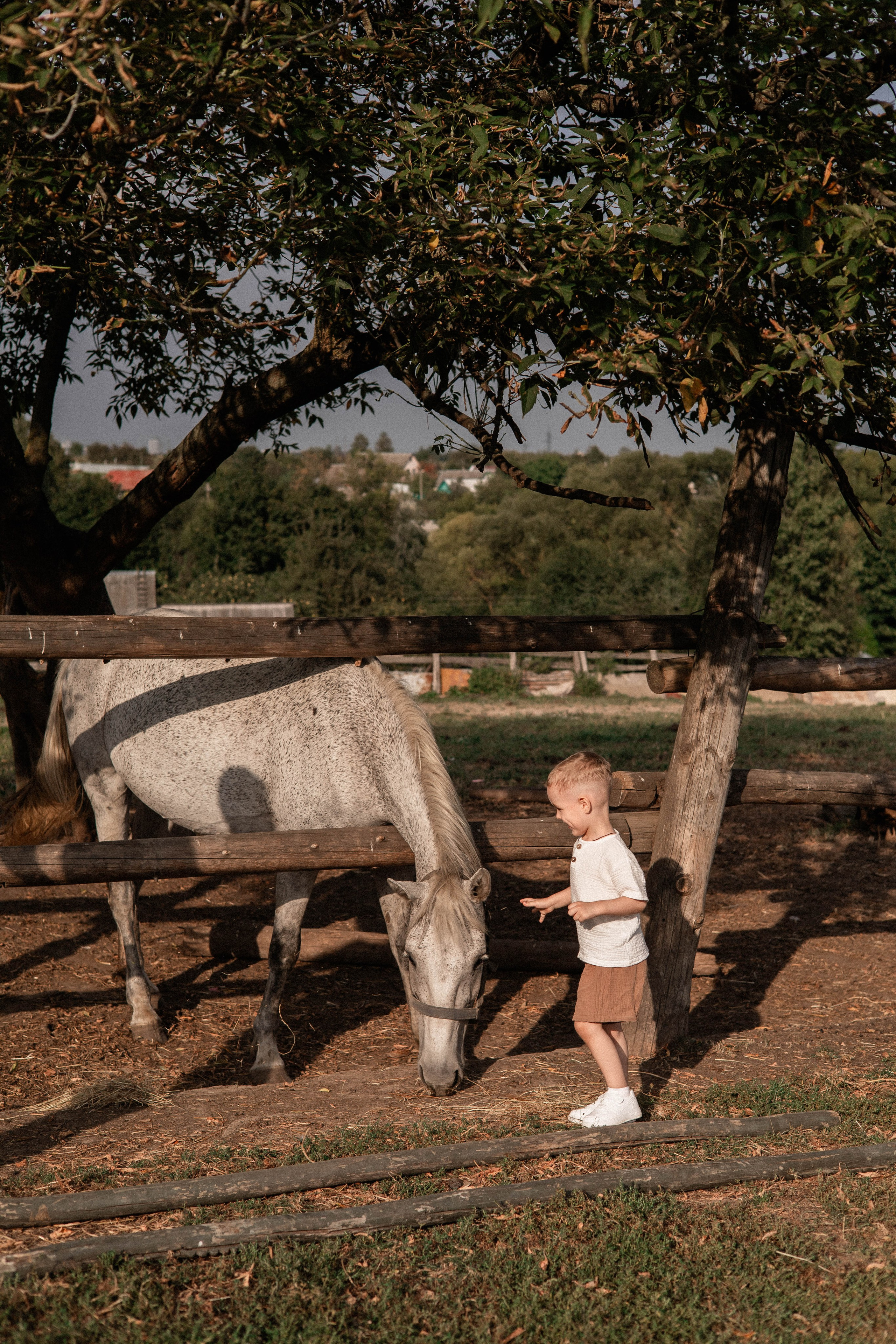 Давид, Настя и Дима. Свадебный и портретный фотограф Соломко Диана