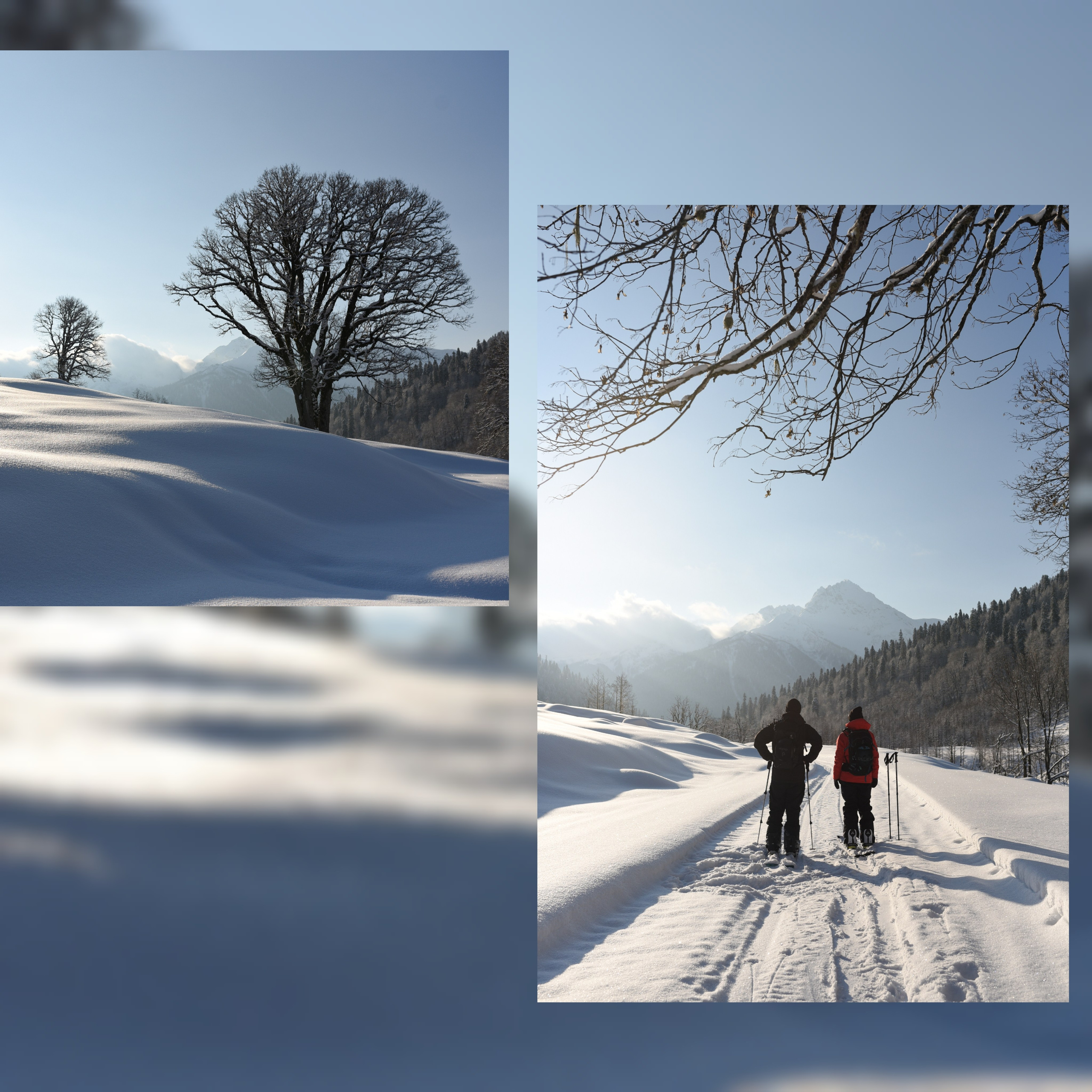 Winter Abjazia. Anastasia Serdyuk, travel photographer, travel photo, portraits, stories, fineart prints