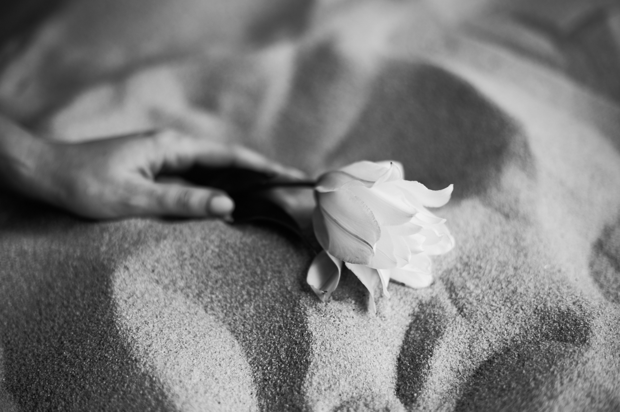 Даша. Фотограф Егорьевск Коломна Воскресенск