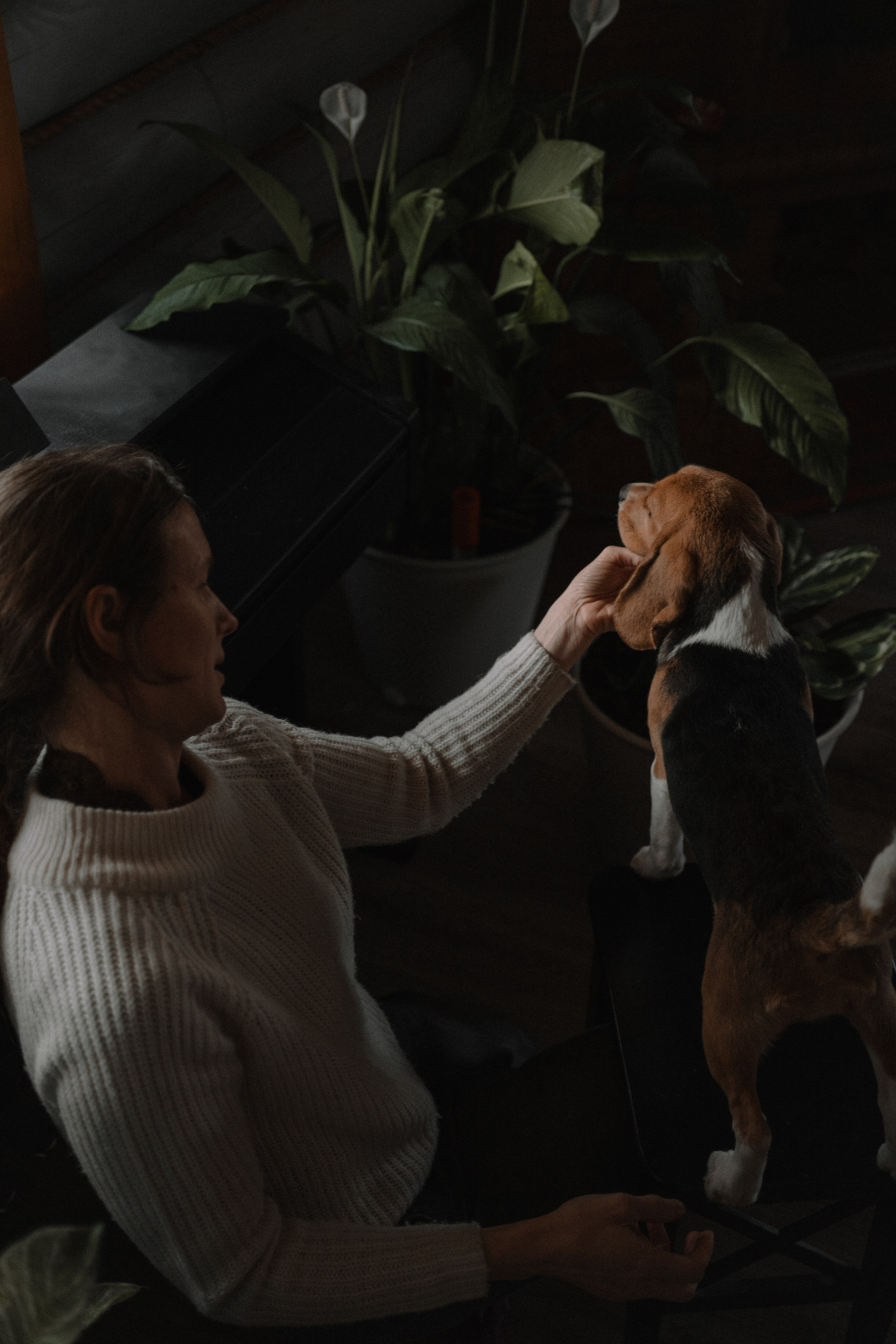 Маша, бигль Вера и её ферма. Семейный фотограф в Москве Алёна Чача