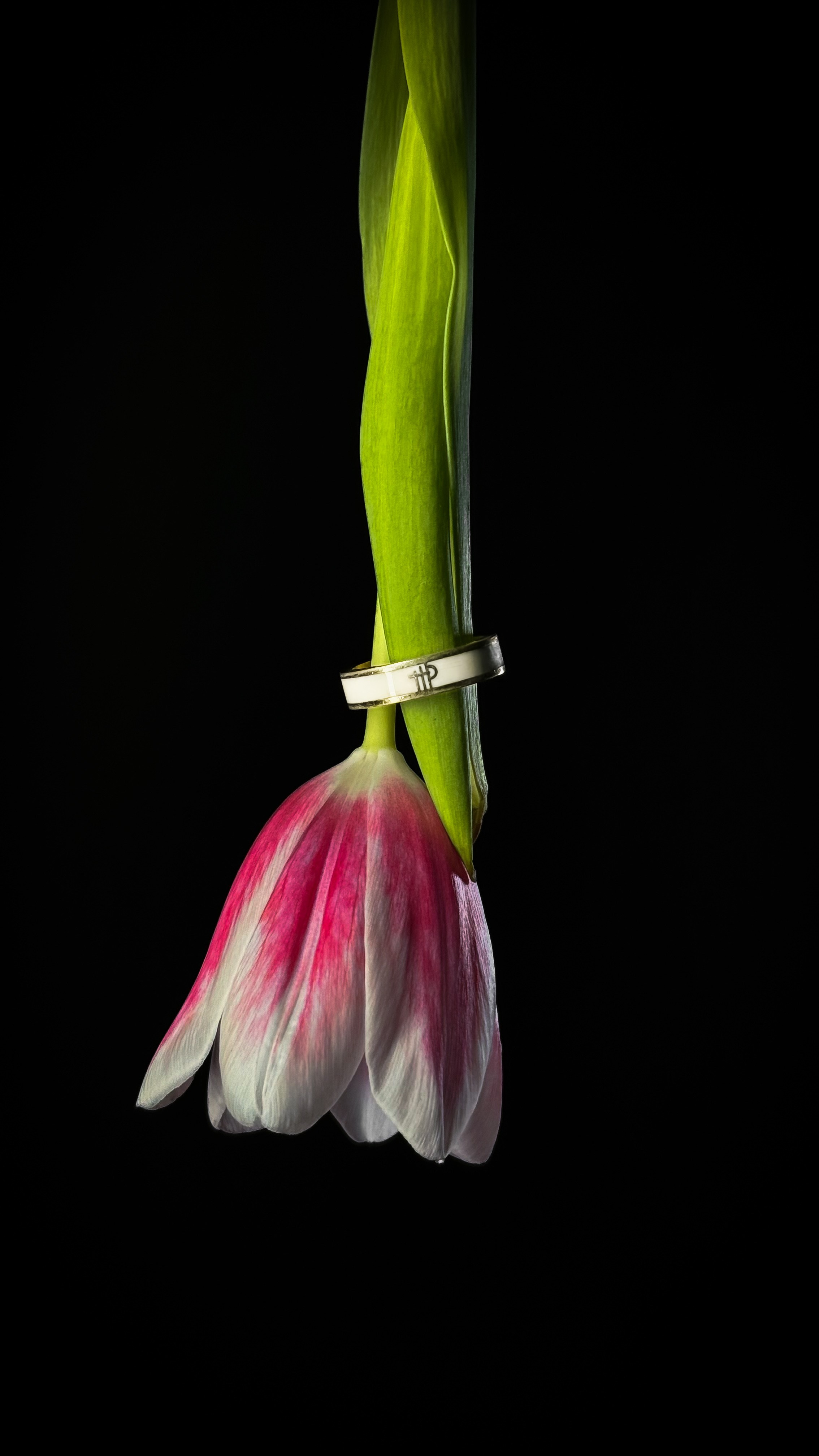 Предметная съемка. Content creator Saint-P