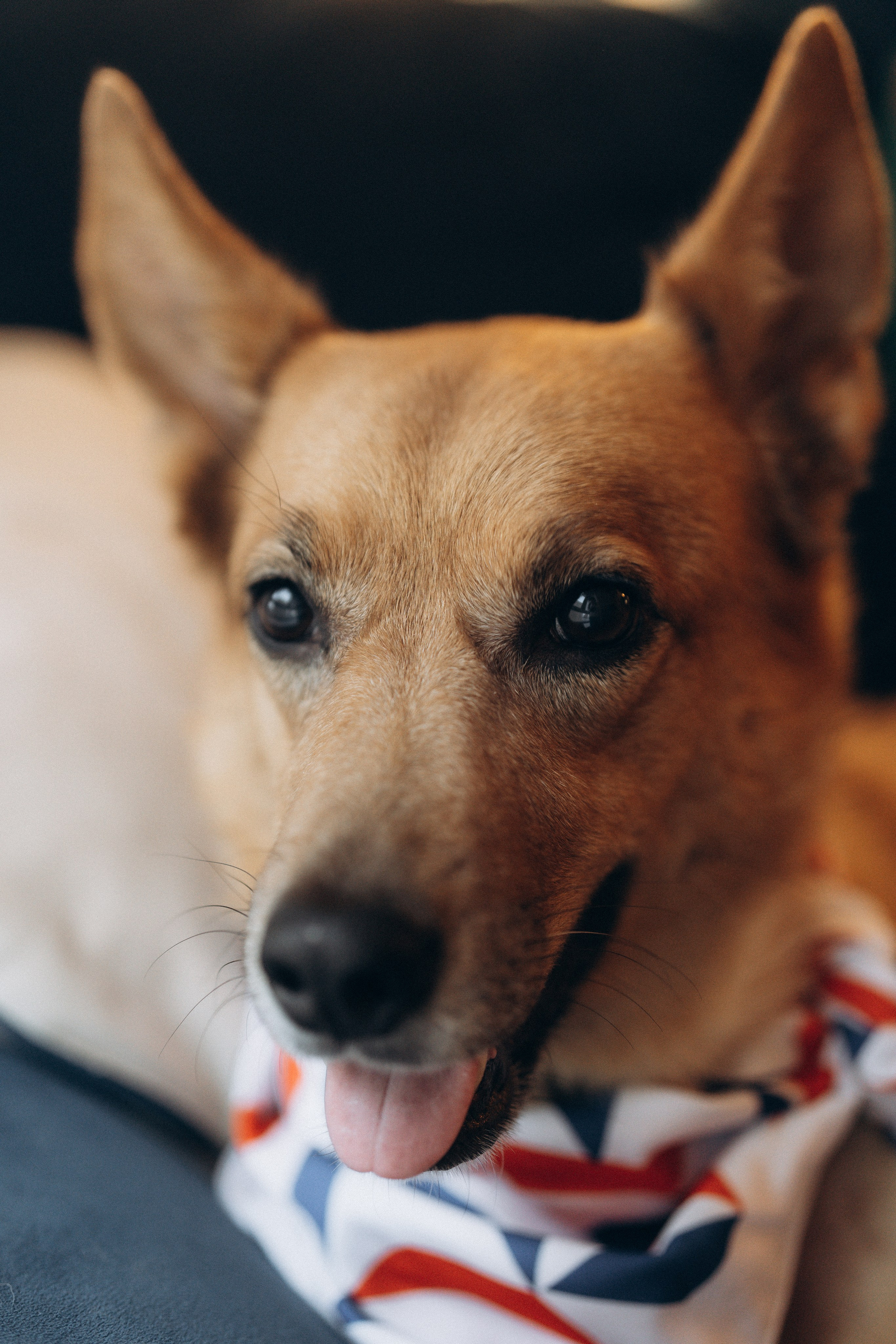 29/12/24. Елизавета Шумик Семейный Фотограф