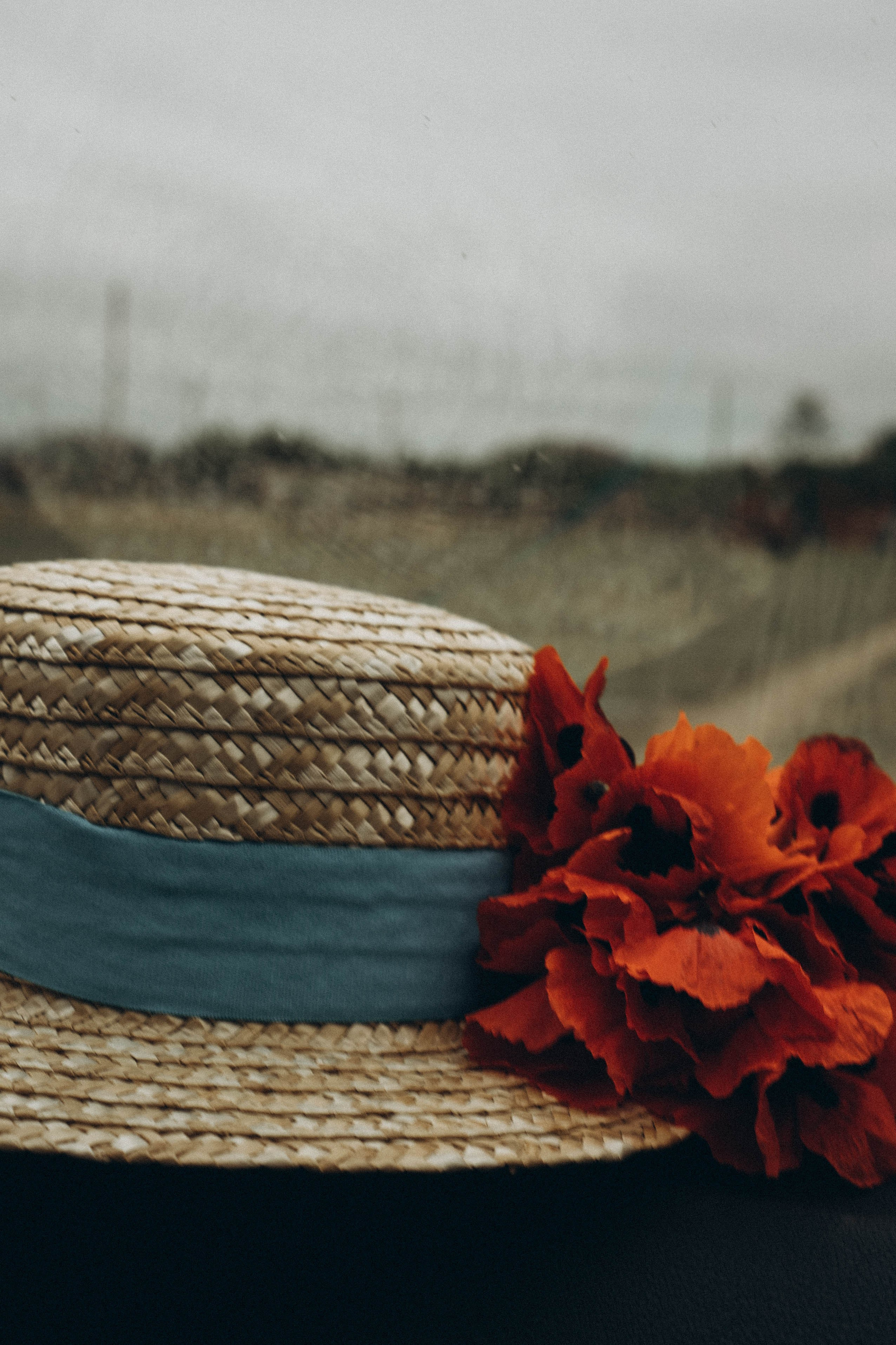 Кавказ. Профессиональный фотограф, Санкт-Петербург — Виктория Богомолова