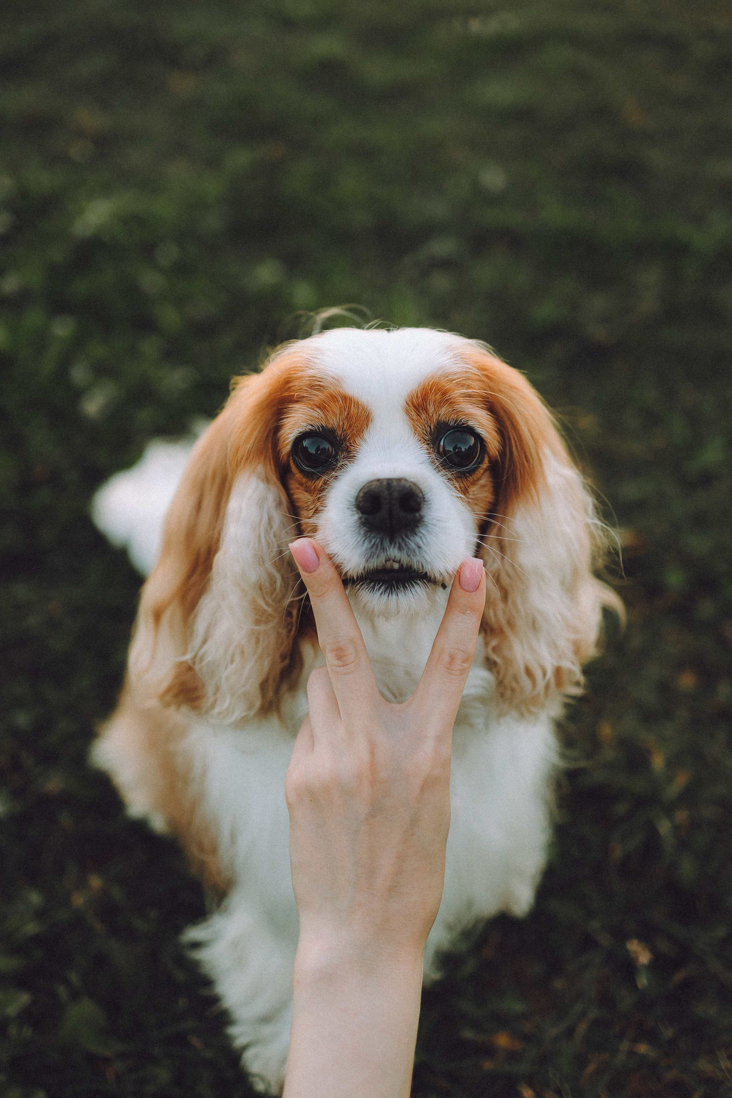 Наташа и Вики