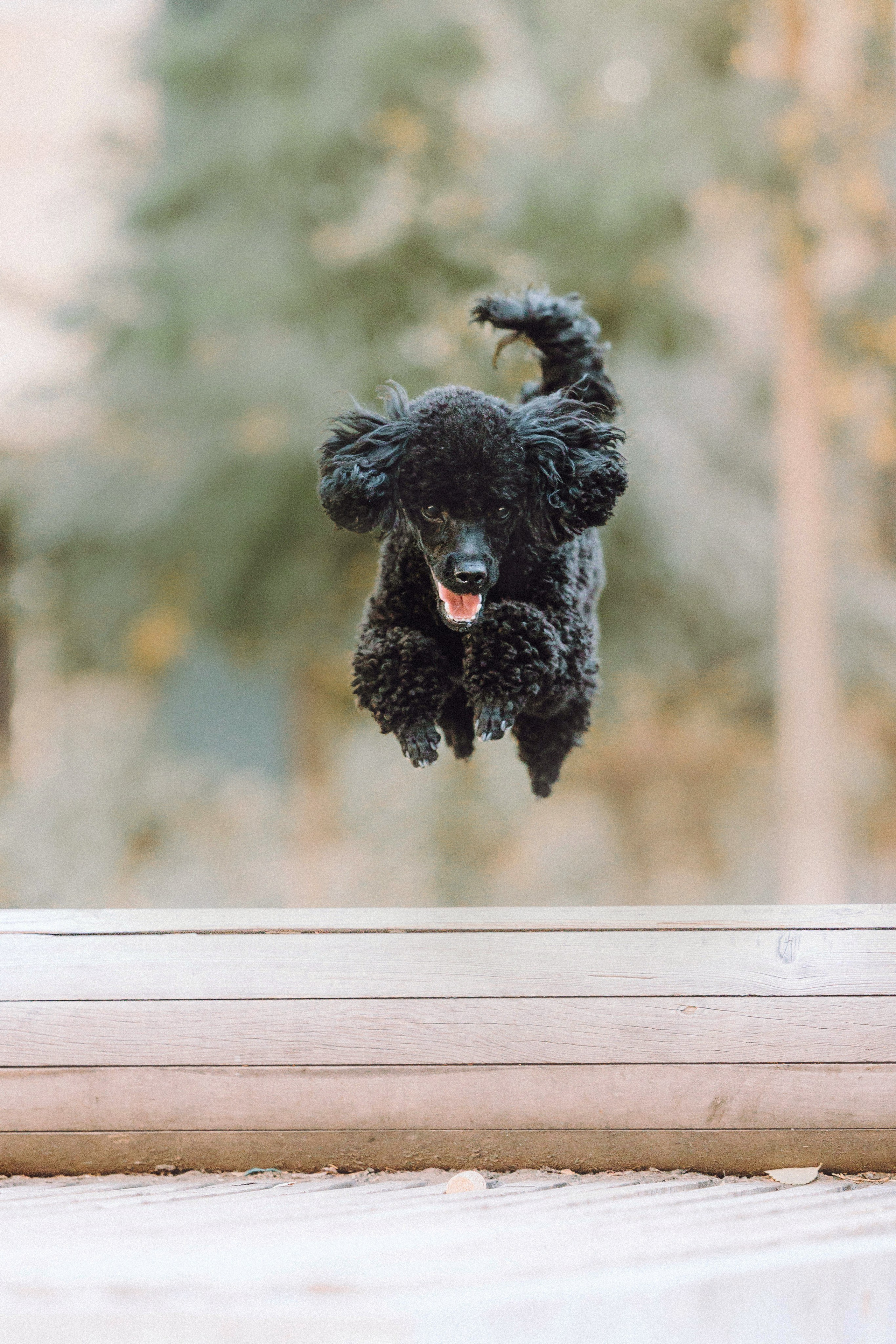 Игнат, Даша и Бэтти