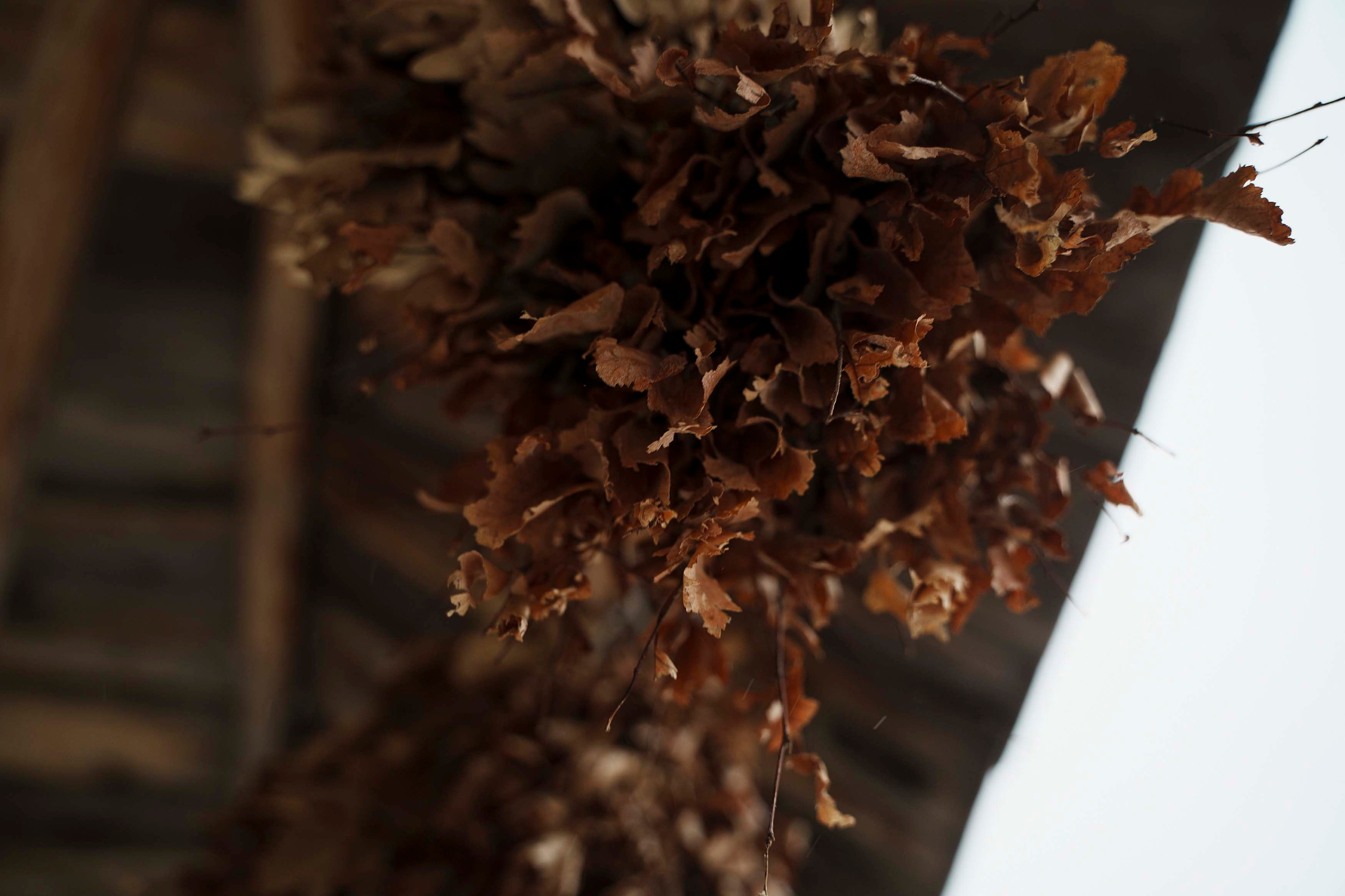 Банный комплекс «Пар-Парок». Фотограф Казань