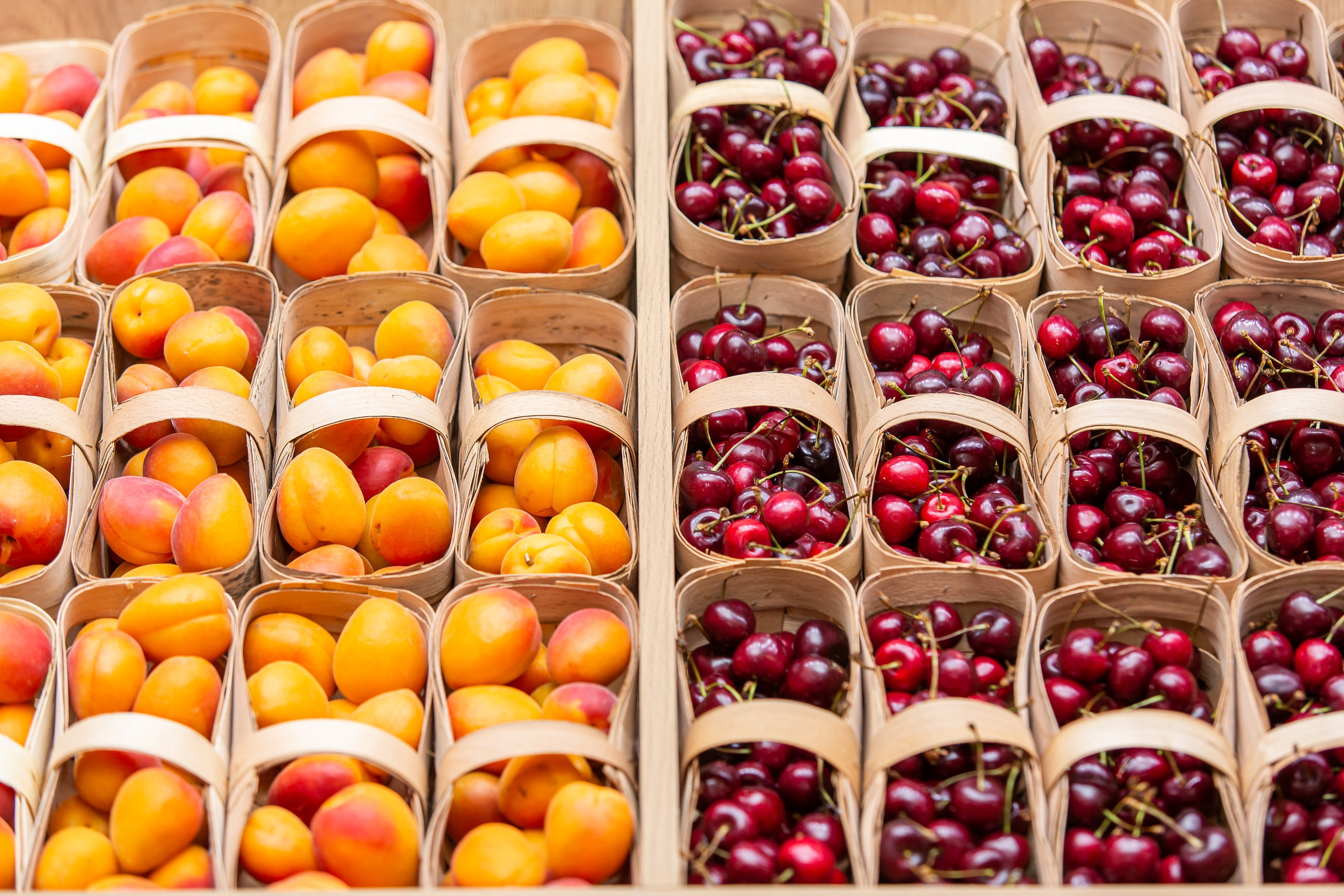 Деловой репортаж. Сергей Гусев — спортивная фотография, виртуальные туры, 3д панорамы