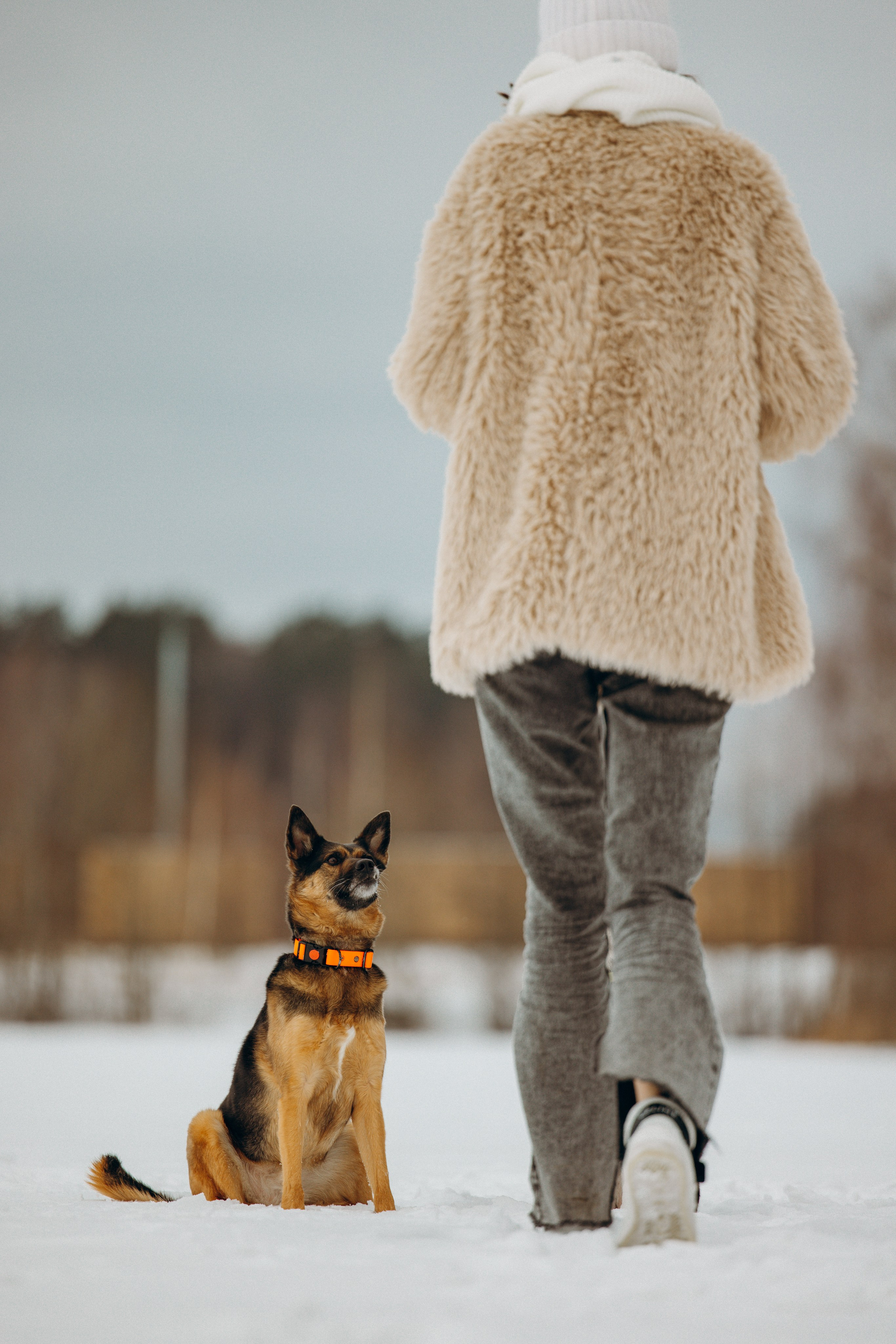 Ника, Матиша и Герда. Фотограф-анималист в Москве Лера Черноног