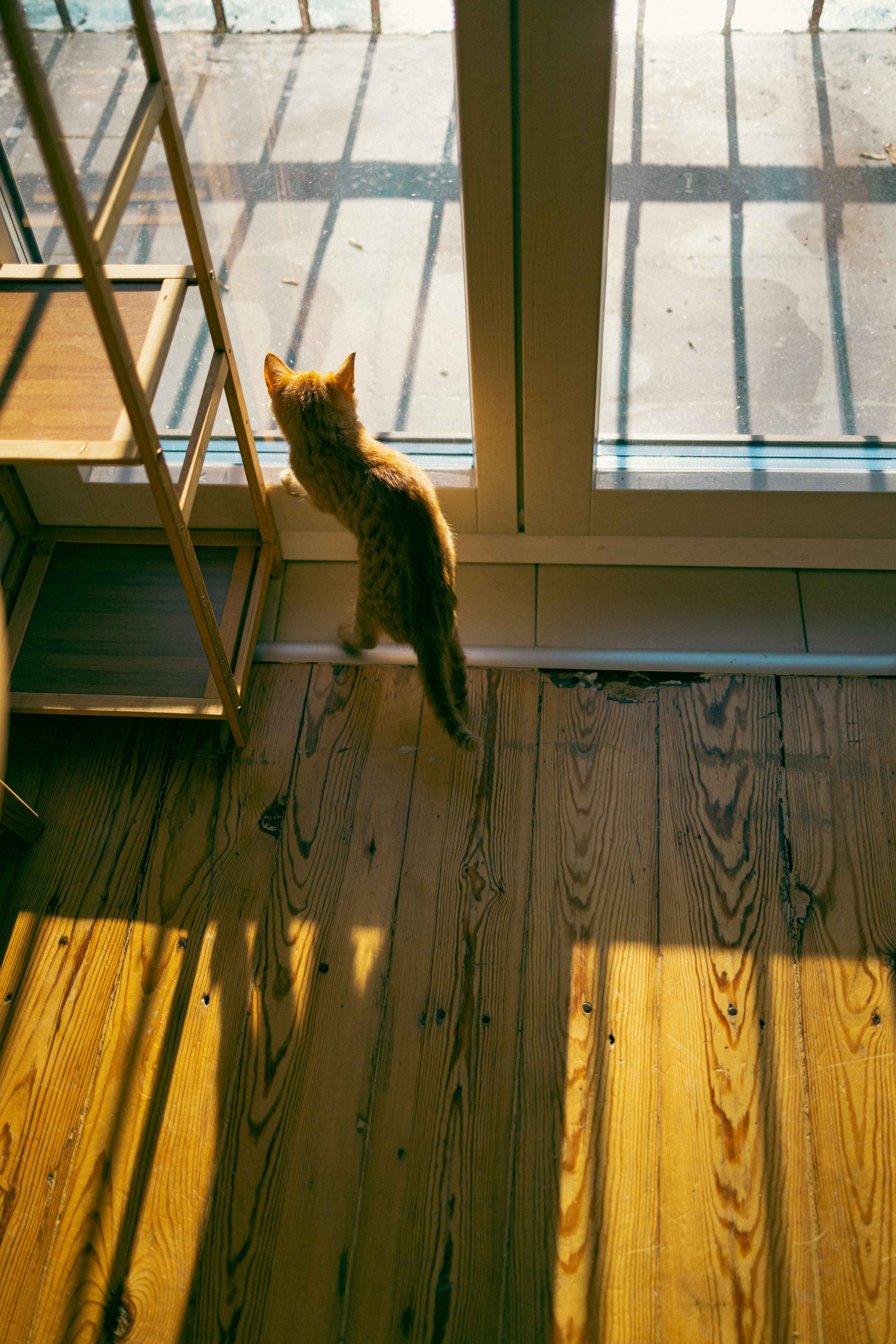 Кускус. Фотограф-анималист в Москве Лера Черноног