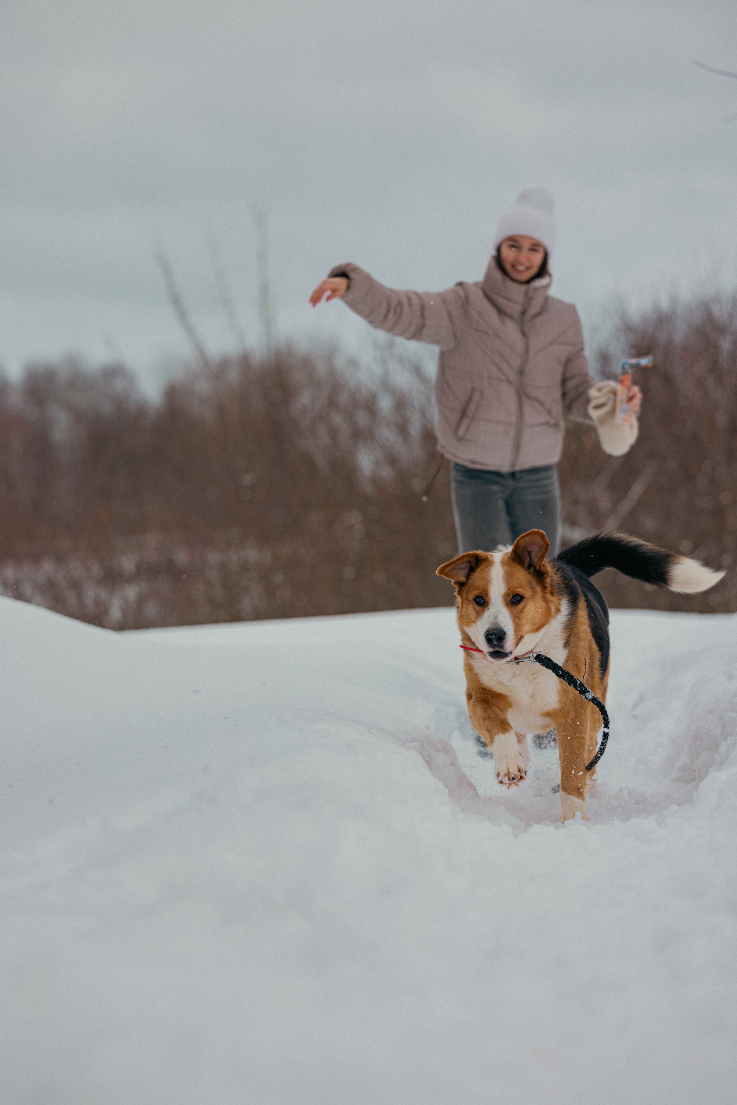 Петя. Фотограф-анималист в Москве Лера Черноног