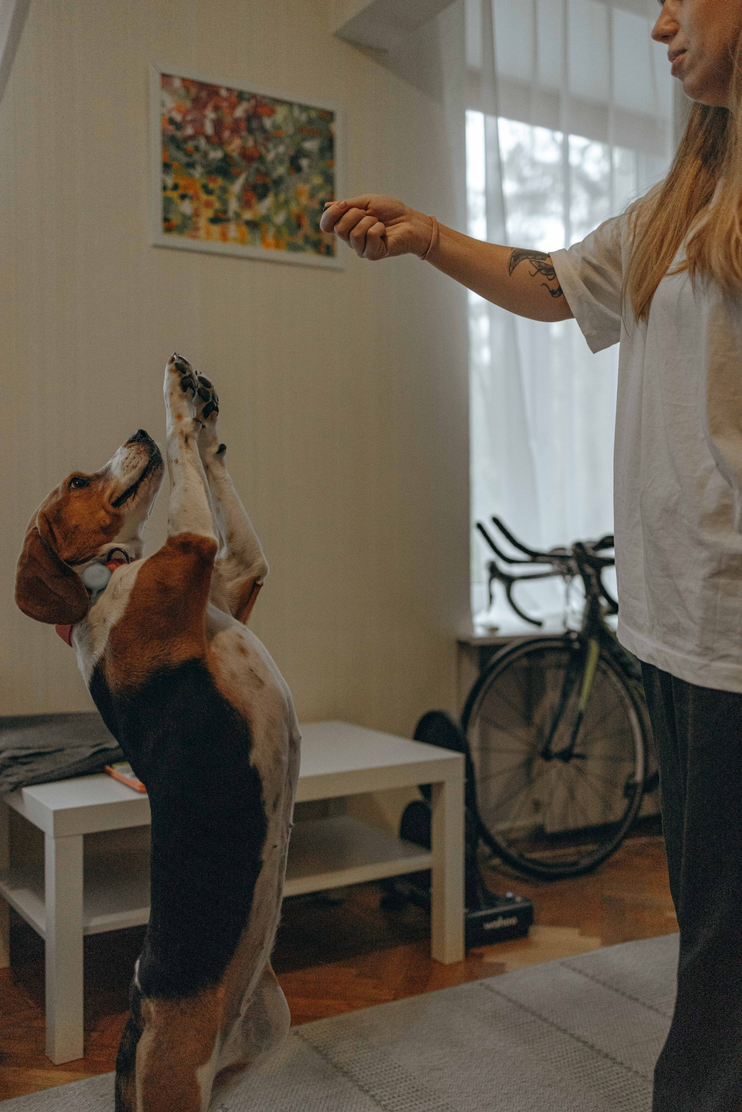 Света и Ива. Фотограф-анималист в Москве Лера Черноног