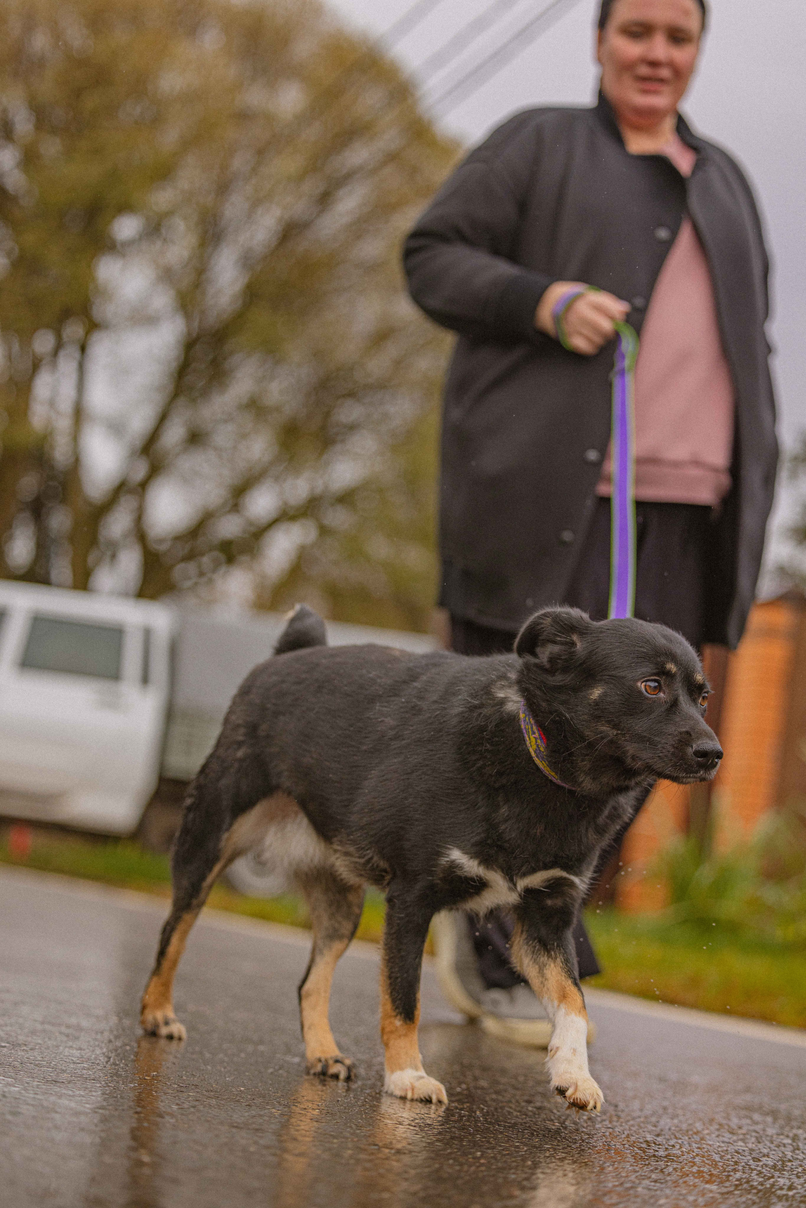 Передержка. Фотограф-анималист в Москве Лера Черноног