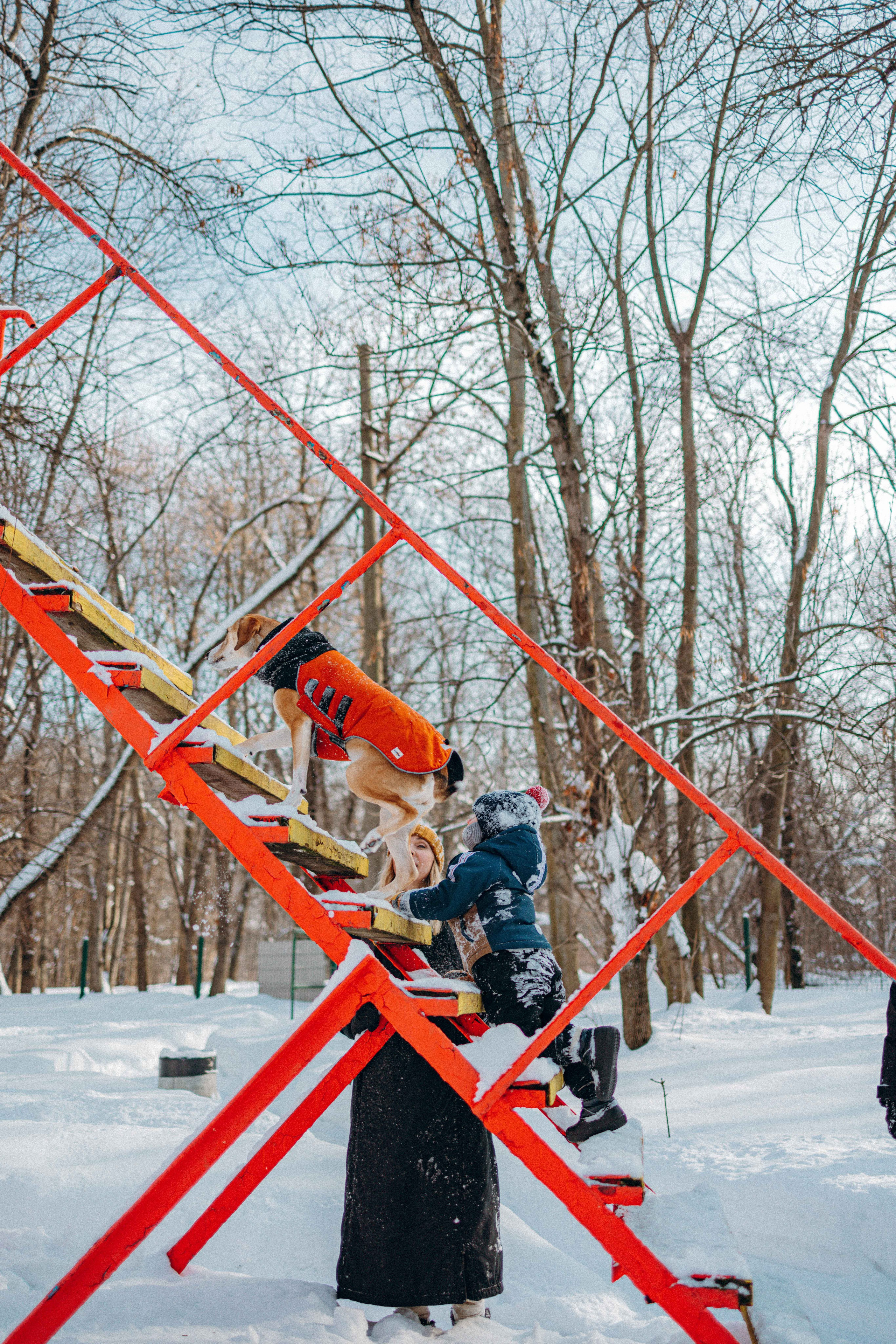 Свобода и ее семья. Фотограф-анималист в Москве Лера Черноног