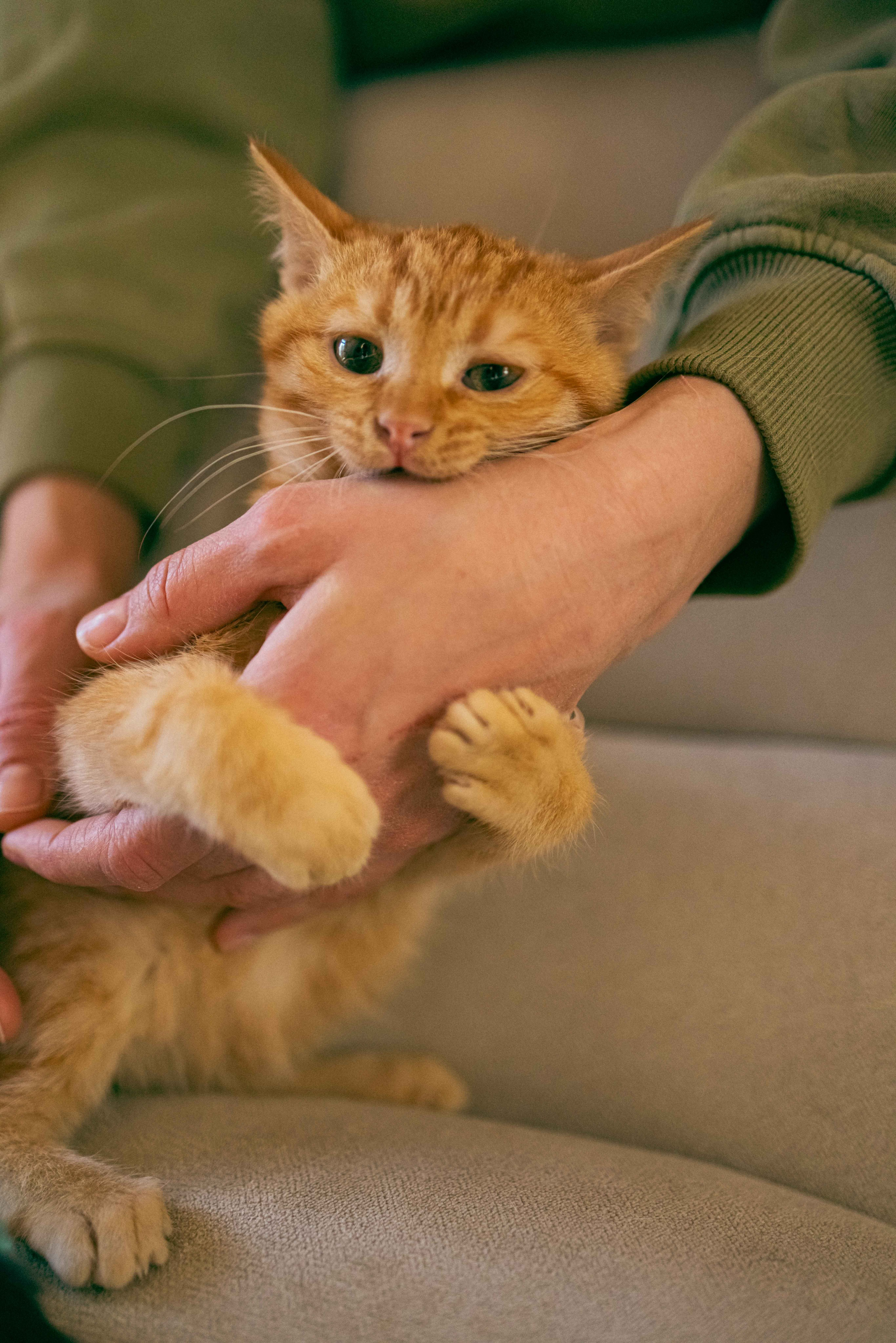 Кускус. Фотограф-анималист в Москве Лера Черноног