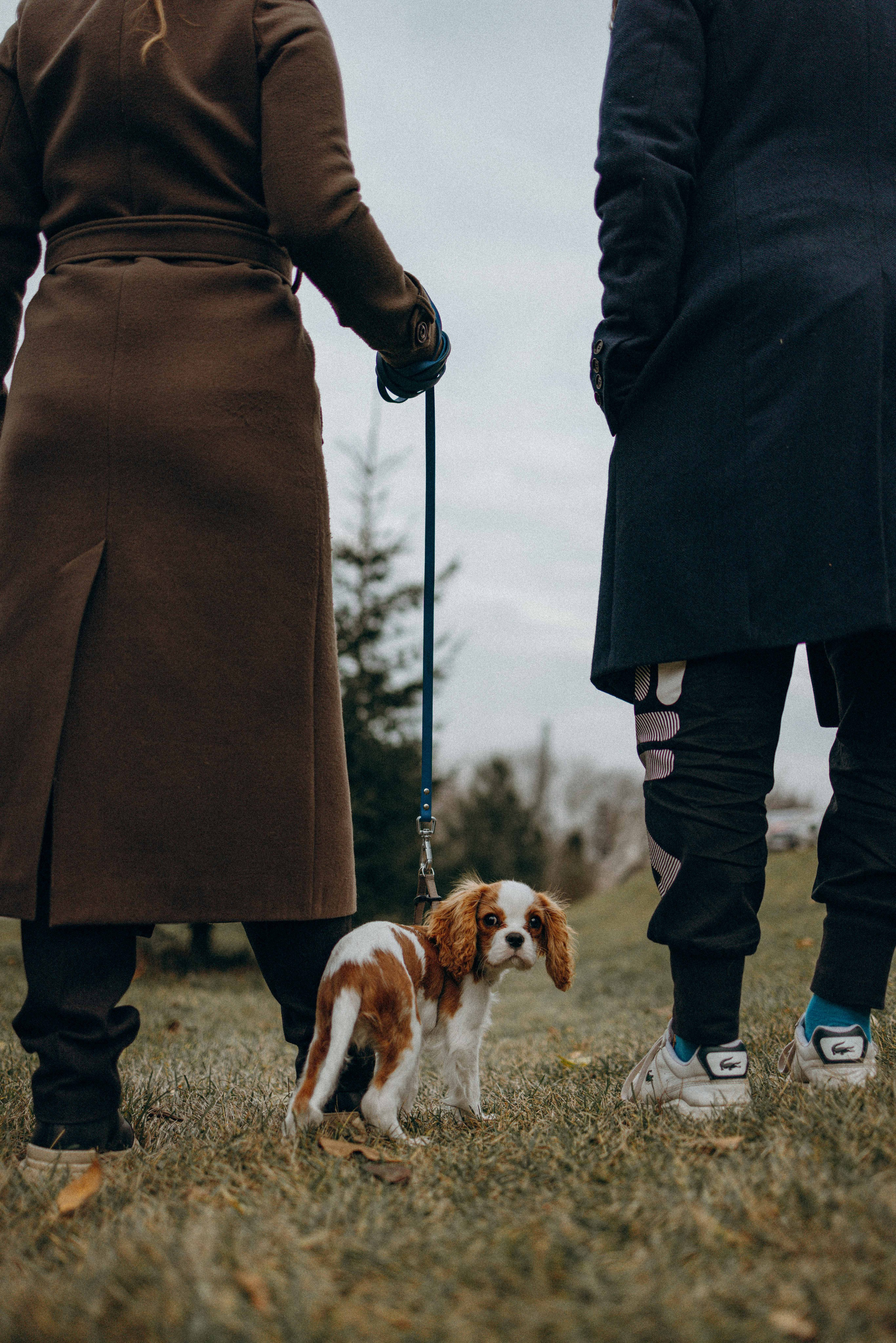 Юля и Кипр. Фотограф-анималист в Москве Лера Черноног