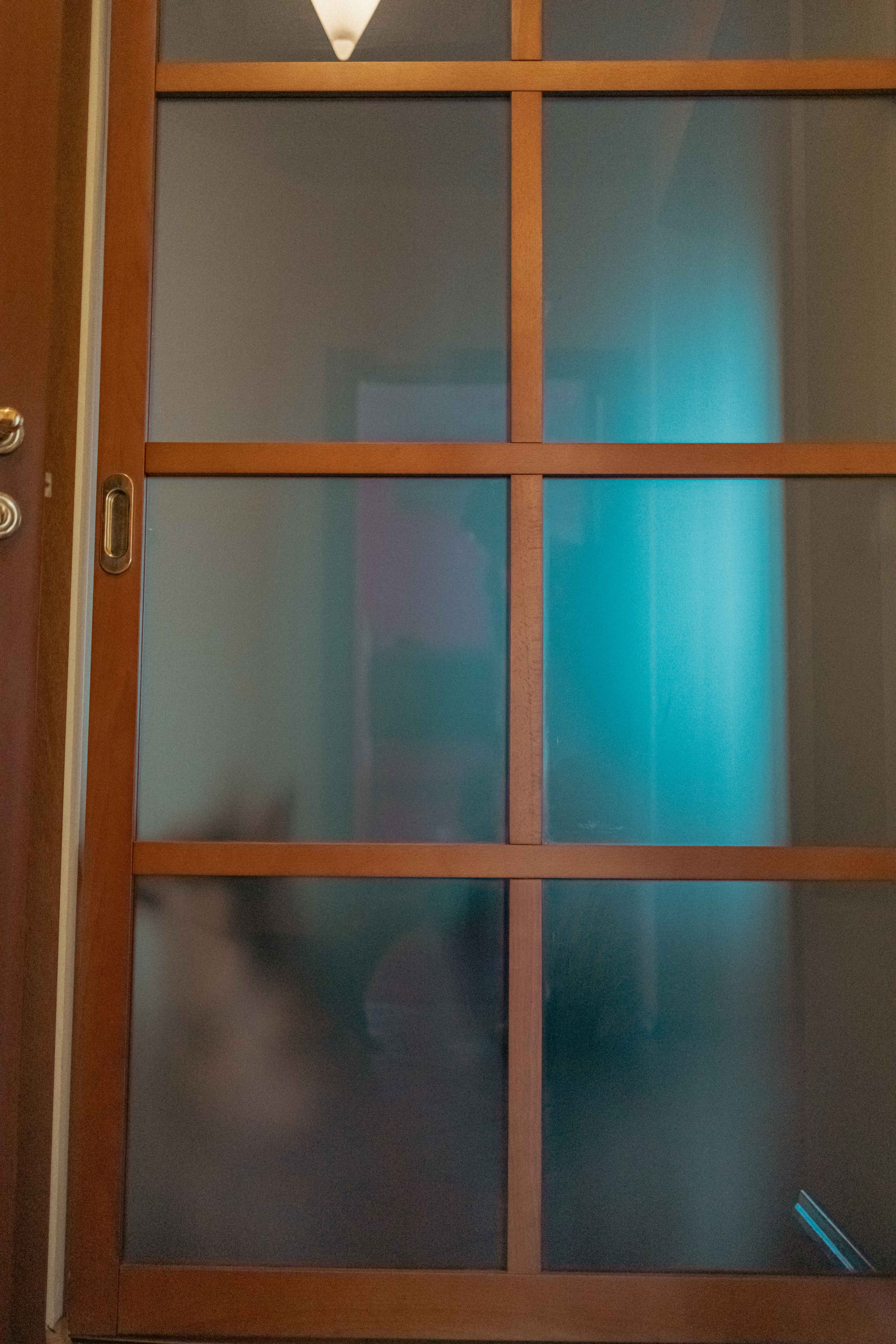 Гайка. Фотограф-анималист в Москве Лера Черноног