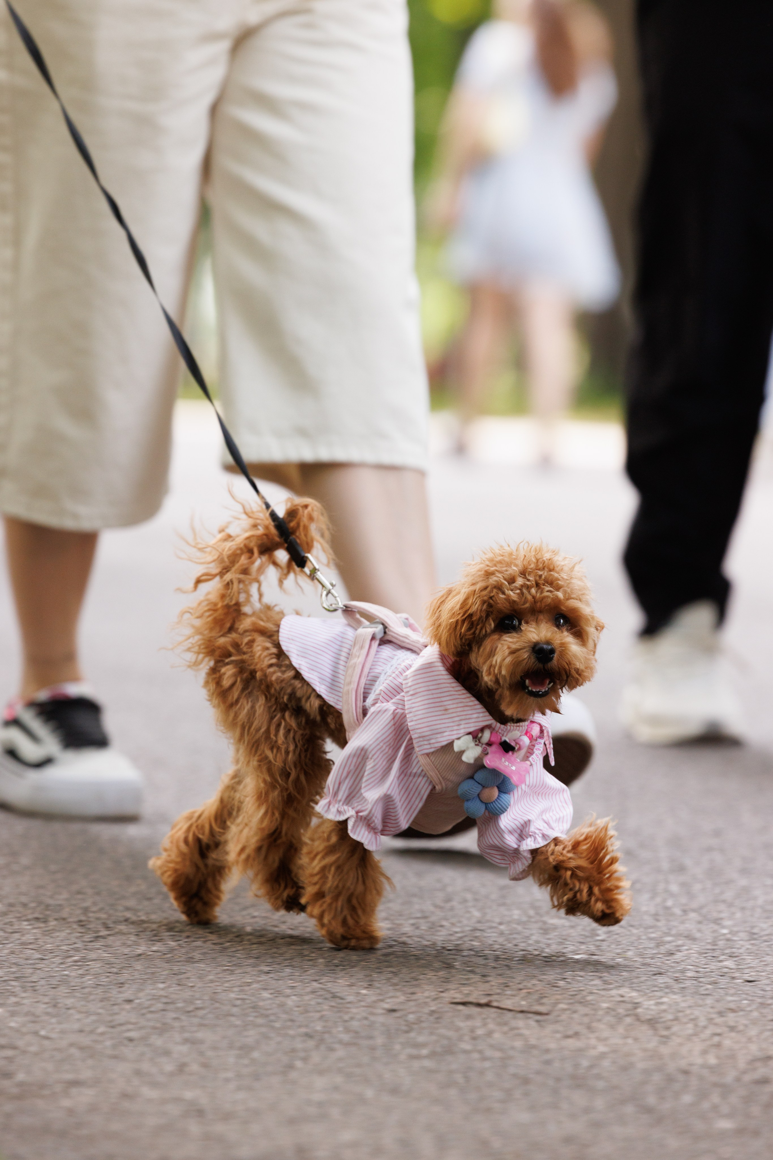PetShopDays2026. Фотограф Александр Заломаев
