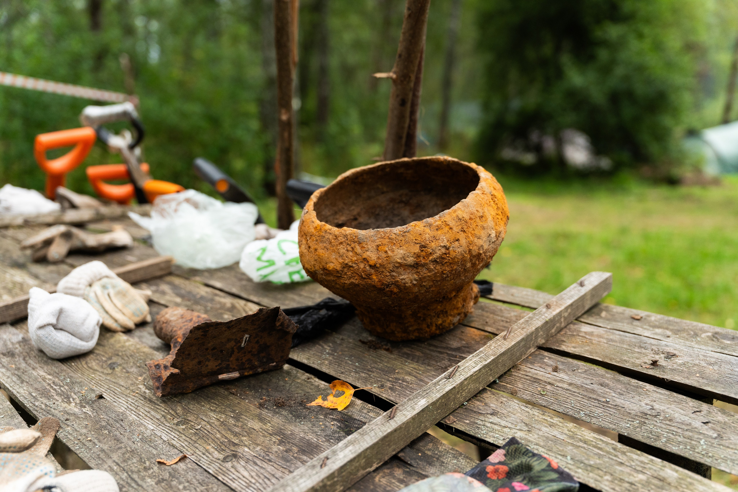 Роспатриот. Photographer | Moscow | Daria Novikova