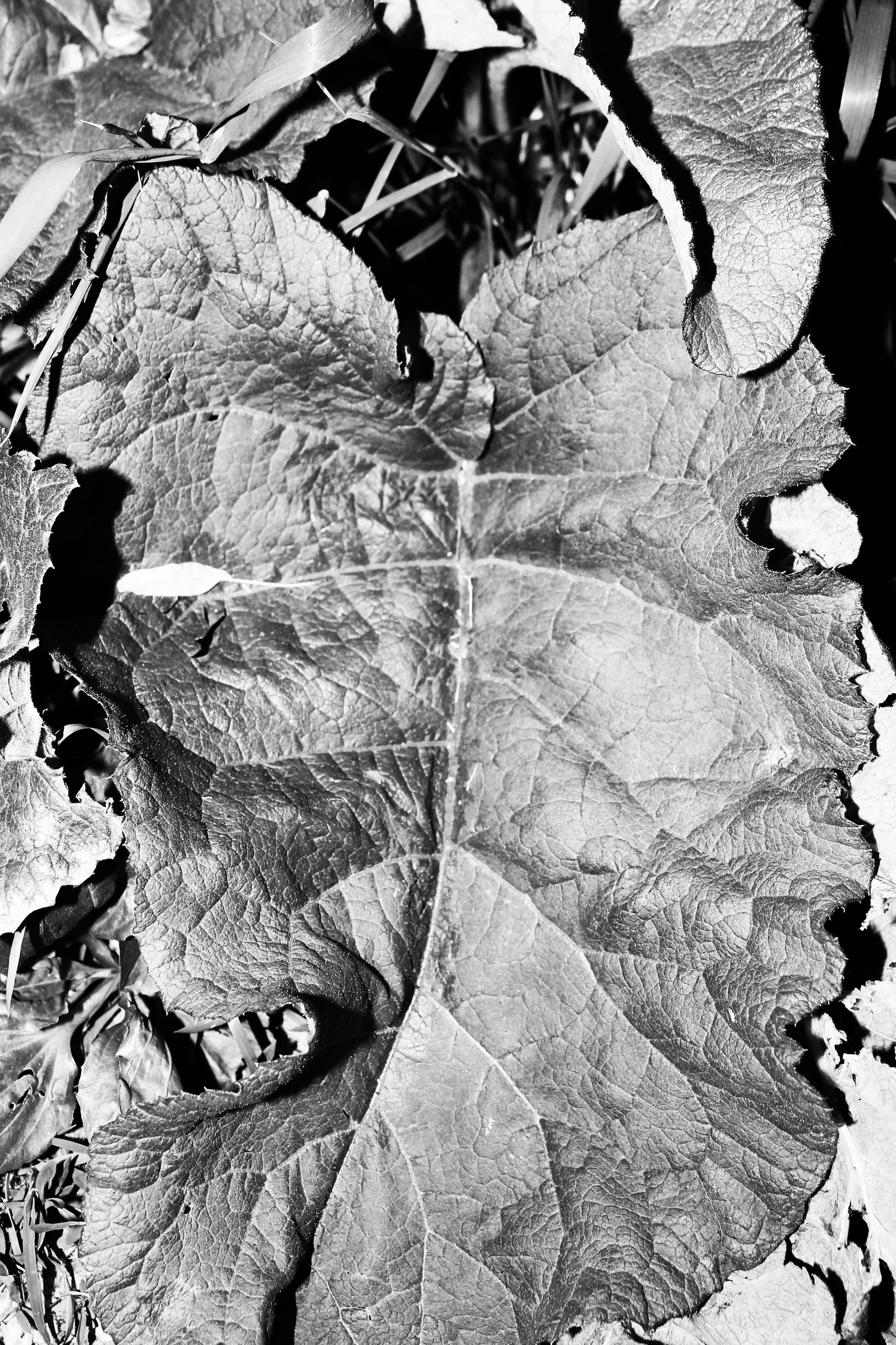 Мои первые работы. Фотограф из Москвы — DASHA NOVA | Авторская фотография в разных жанрах