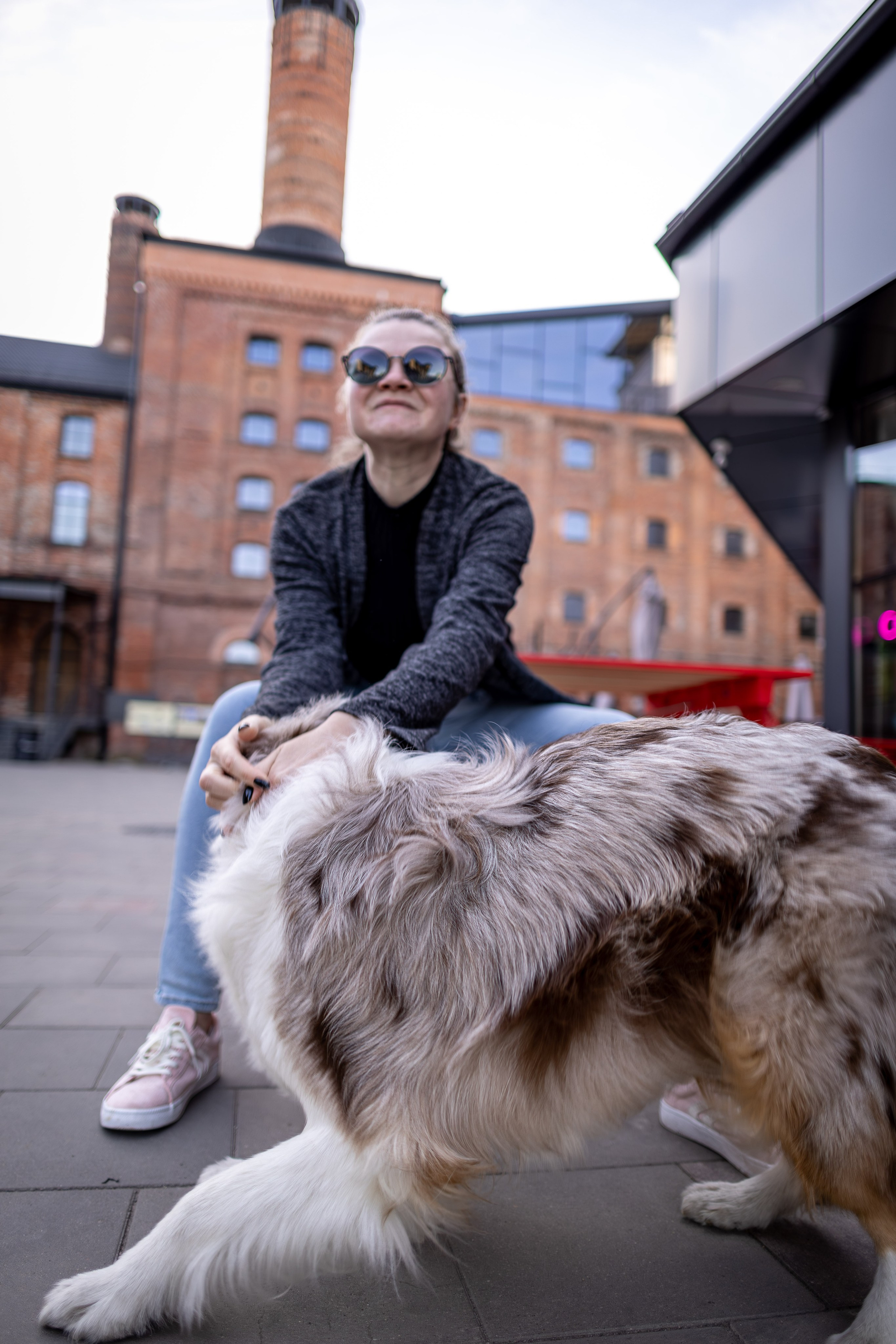 Полли, Австралийская Овчарка. Ирина Голомб|Фотограф-анималист в  Сочи и Калининграде