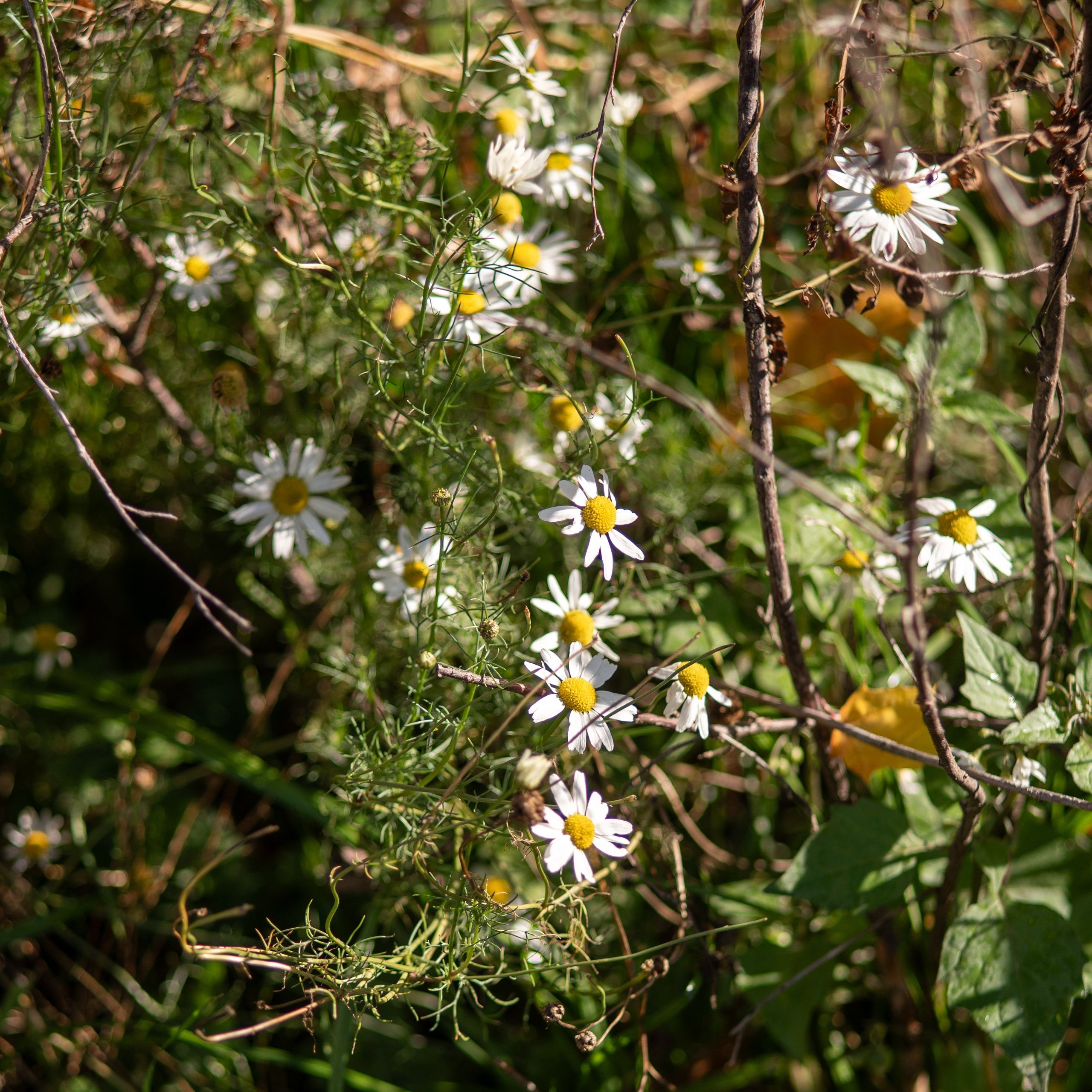 20251012 МГУ. Дмитрий Ремизов. Фотография, как хобби