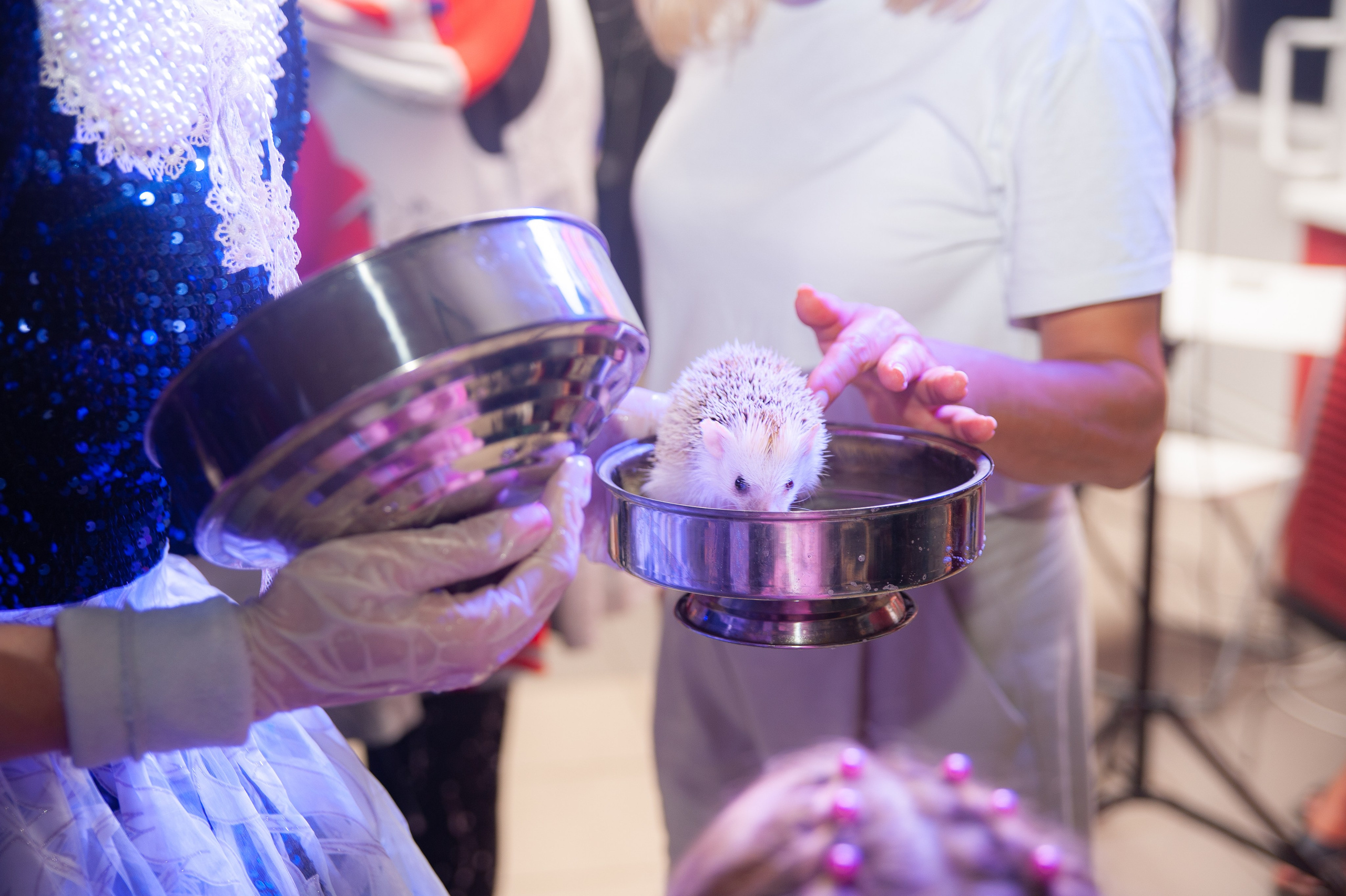 Детские дни рождения. Семейный фотограф Анна Лищук г. Таганрог