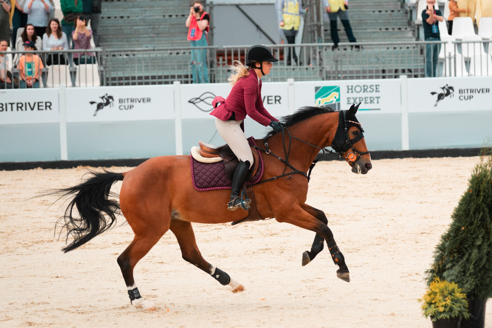 BITRIVER CUP 2023. Конный фотограф Куракина Дарья • Фотосессии с лошадьми