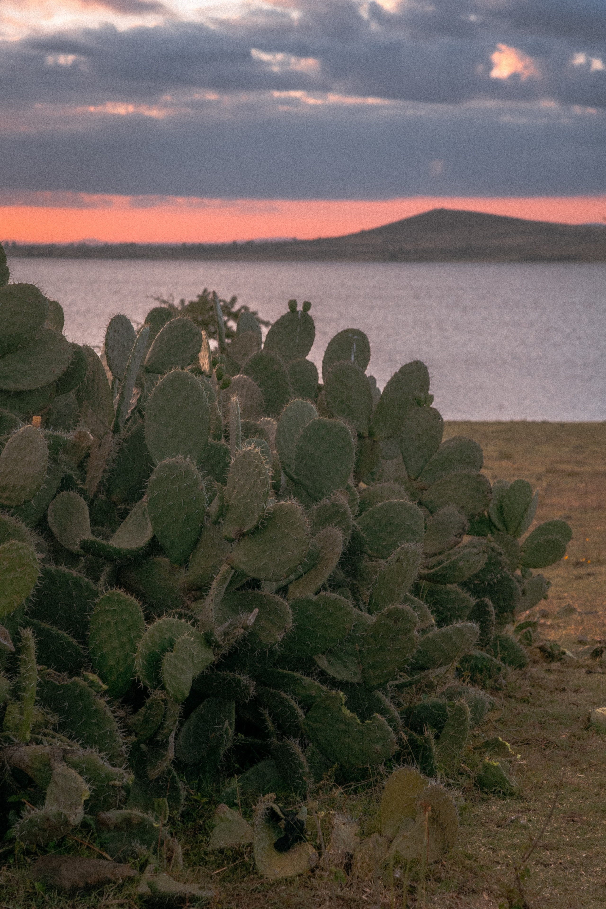 Плато жизни: Эфиопское нагорье. Юля Дэй • Фотограф, Санкт-Петербург