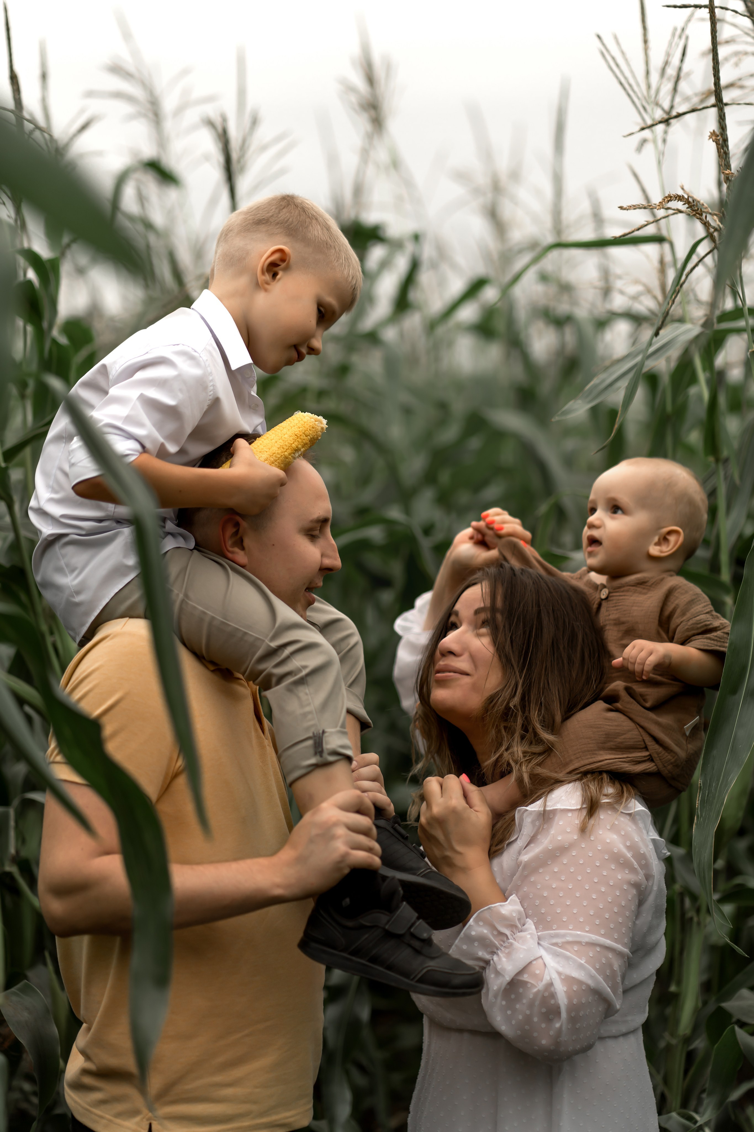 Прогулка в кукурузе. Фотограф в Красноярске. Юлия Чаушанская