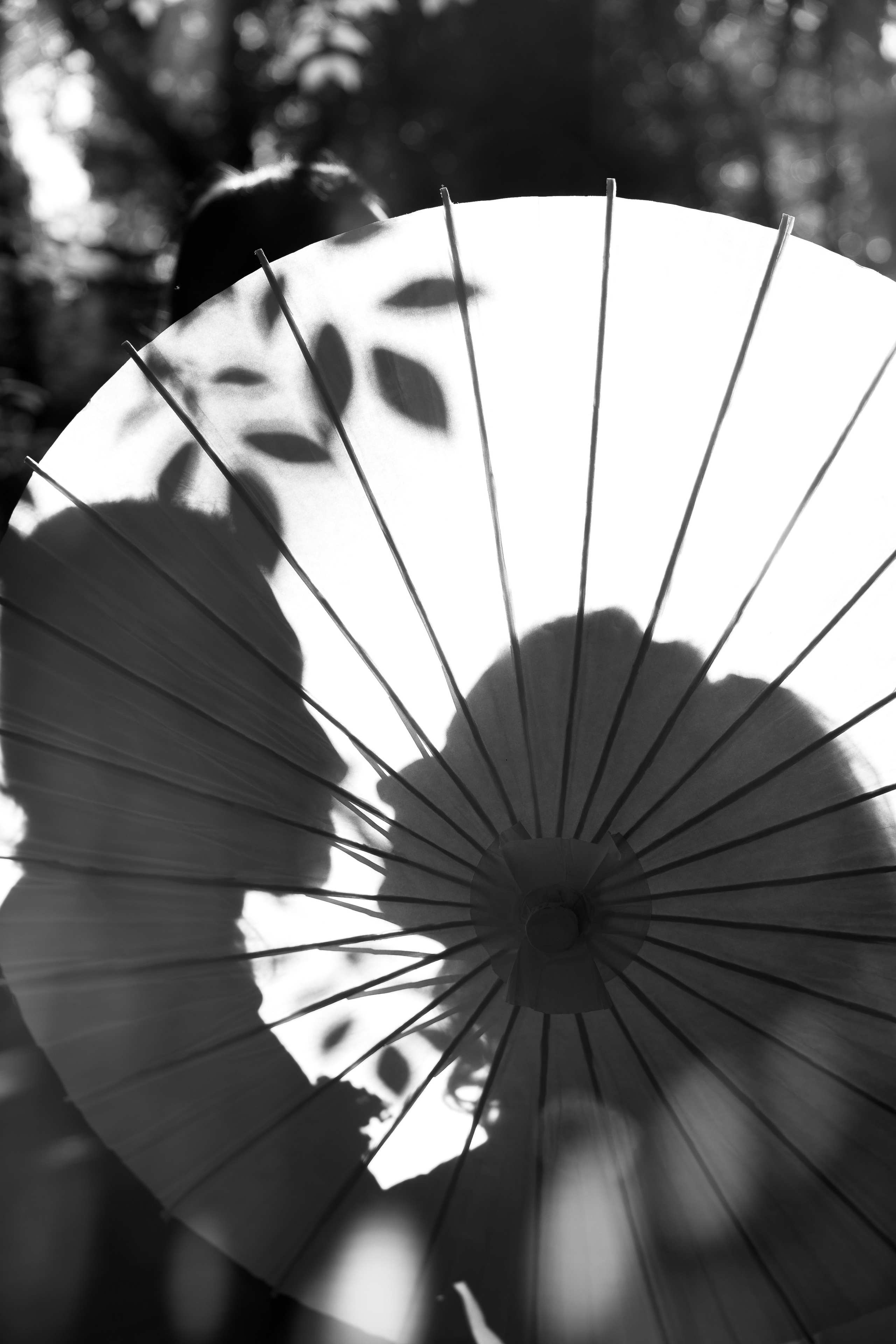 Варя & Никита | цифра + пленка. Свадебный фотограф СПб Мадина Сафарян