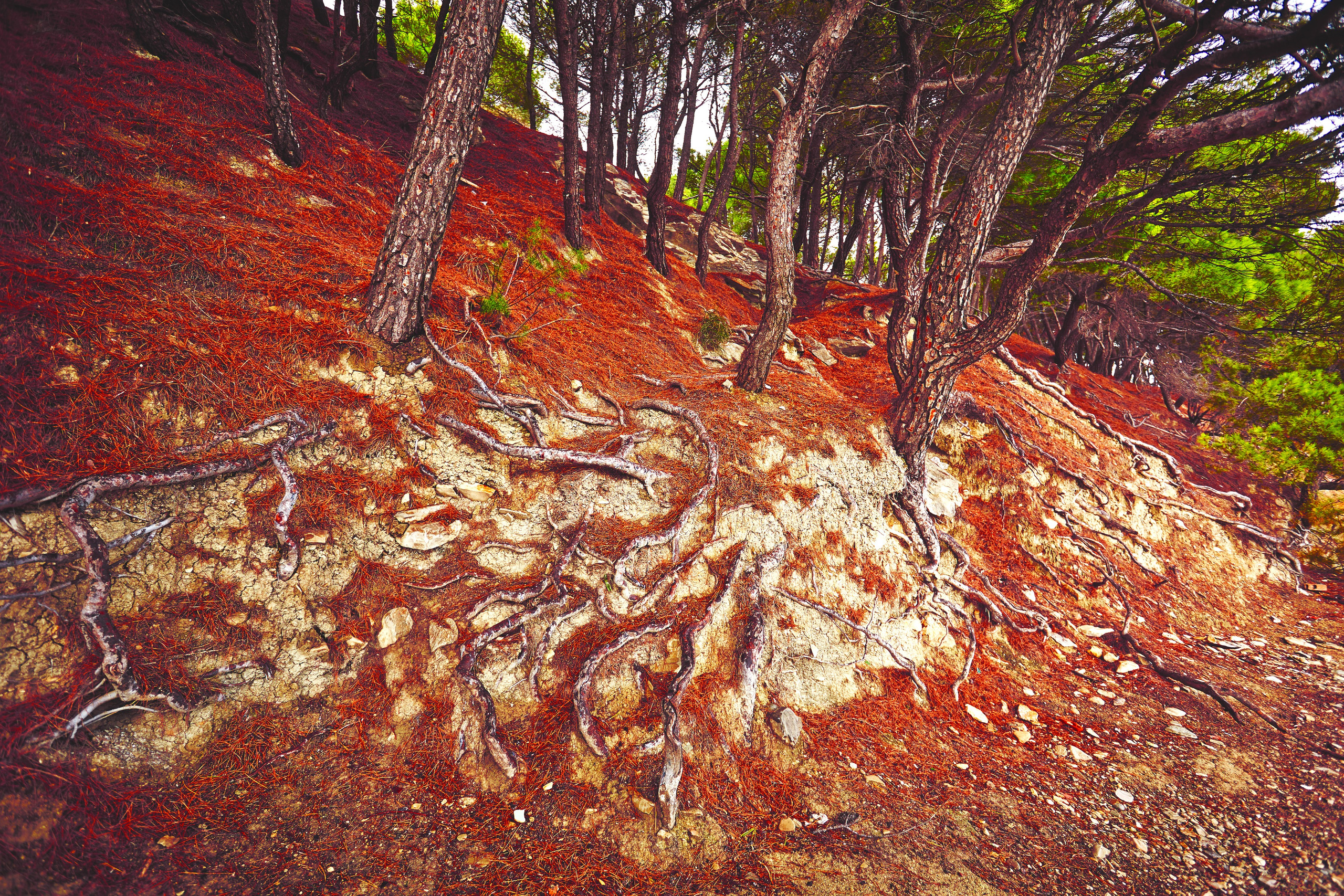 Хорватия. Рекламный коммерческий фотограф в Москве Владимир Лукьянов
