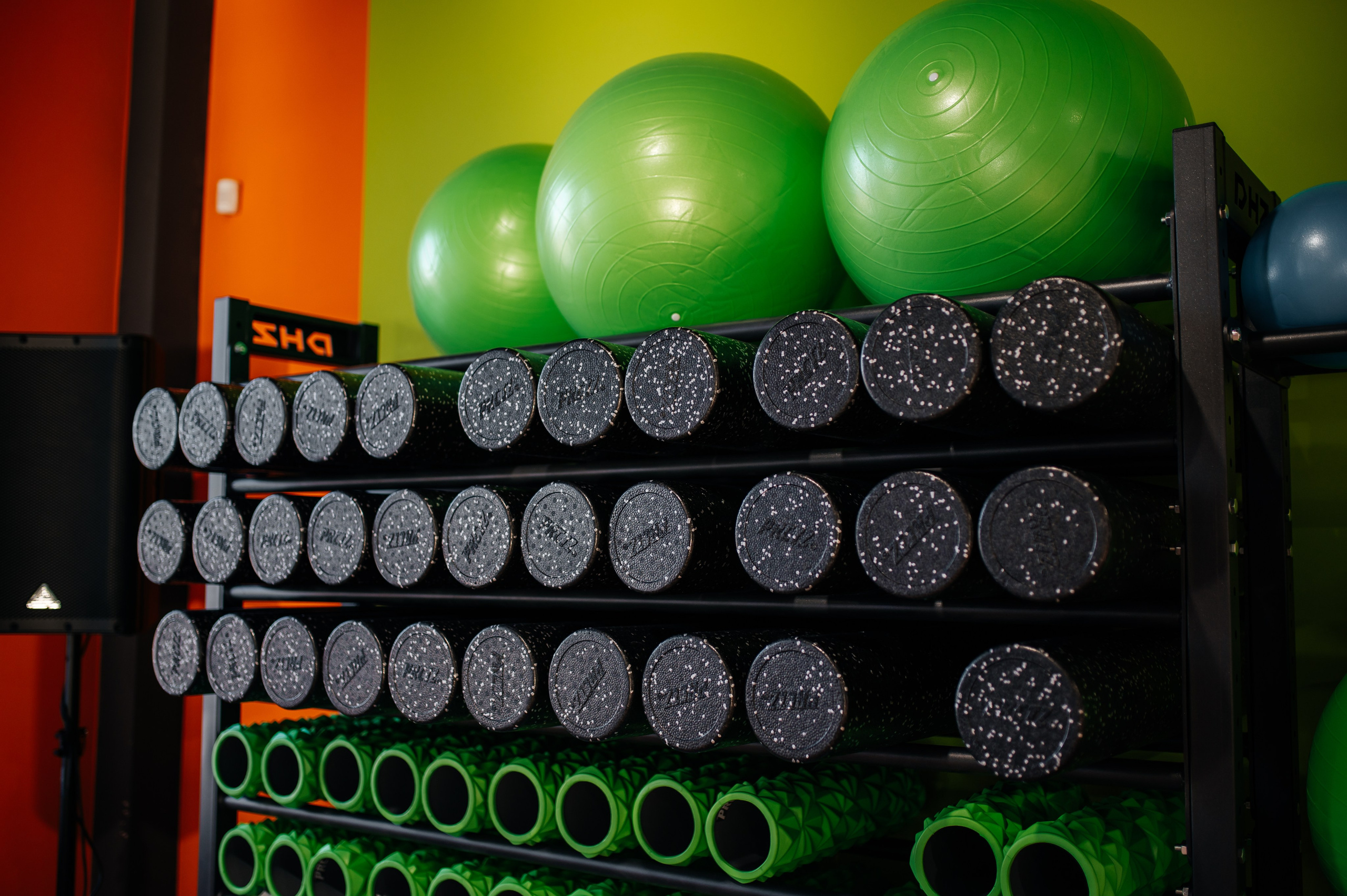 Фитнес-клуб. Свадебная  съемка на Алтае