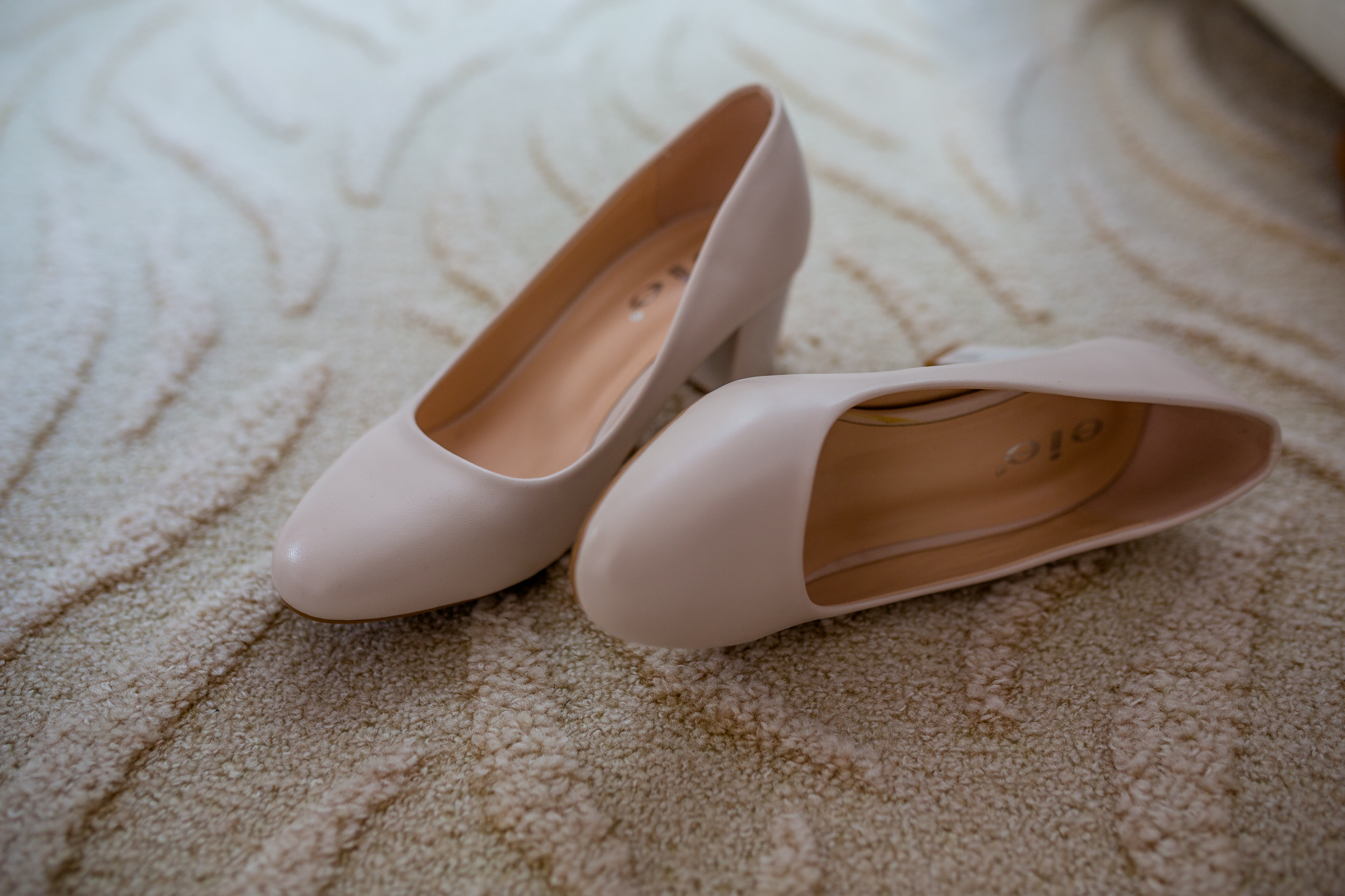 Алексей и Александра. Нужен фотограф в Ярославле. Фотограф в Ярославле | Фотосессия, фото-видео съемка