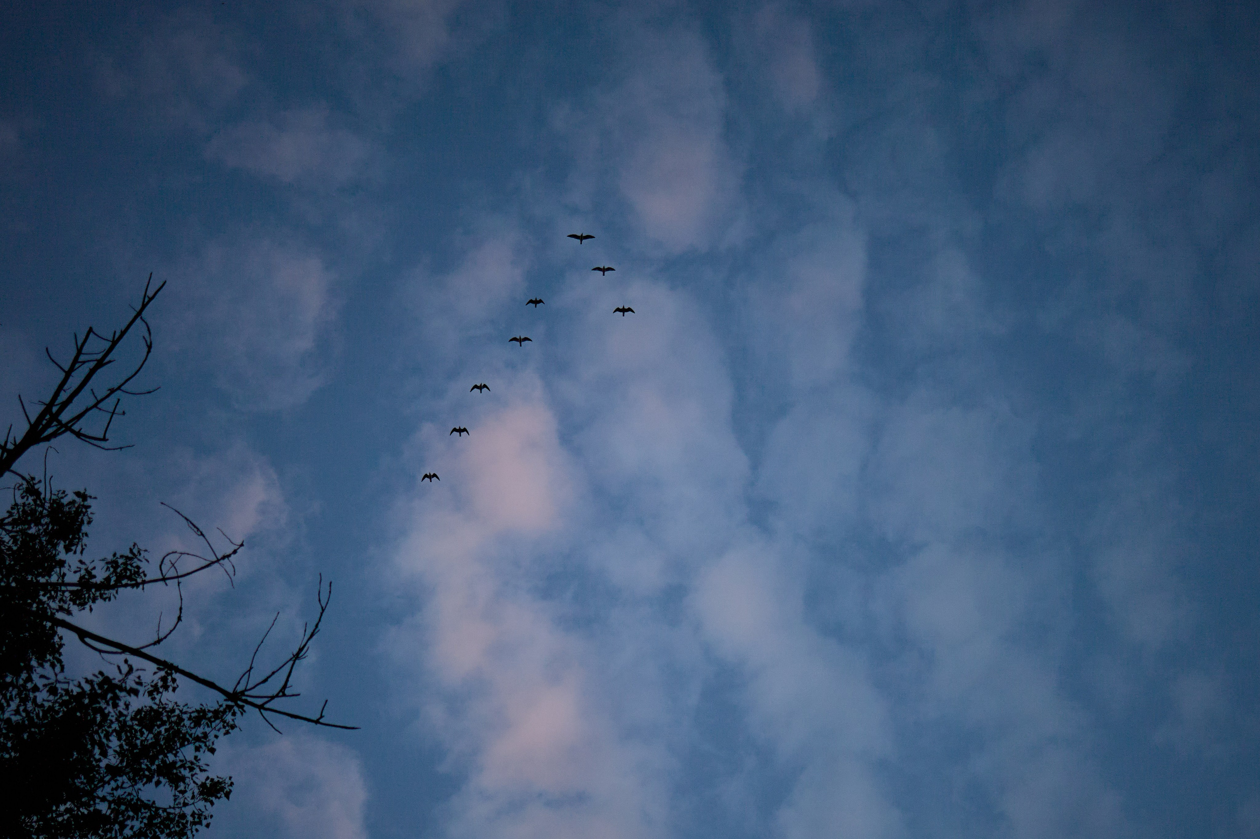 Дарья и Сергей. Любовь Юсупова. Фотограф