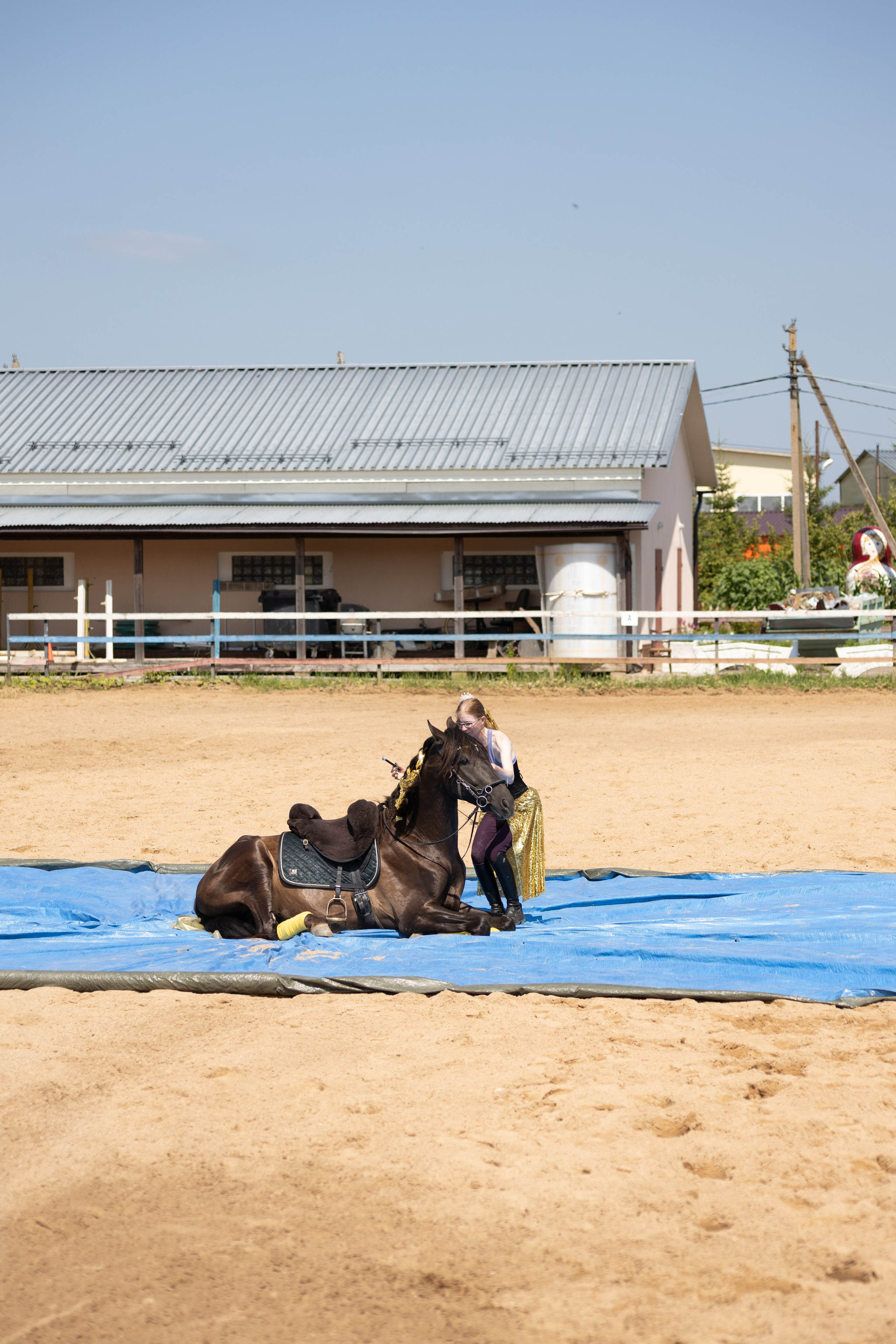 Конюшня. Фотограф в Москве и Истре