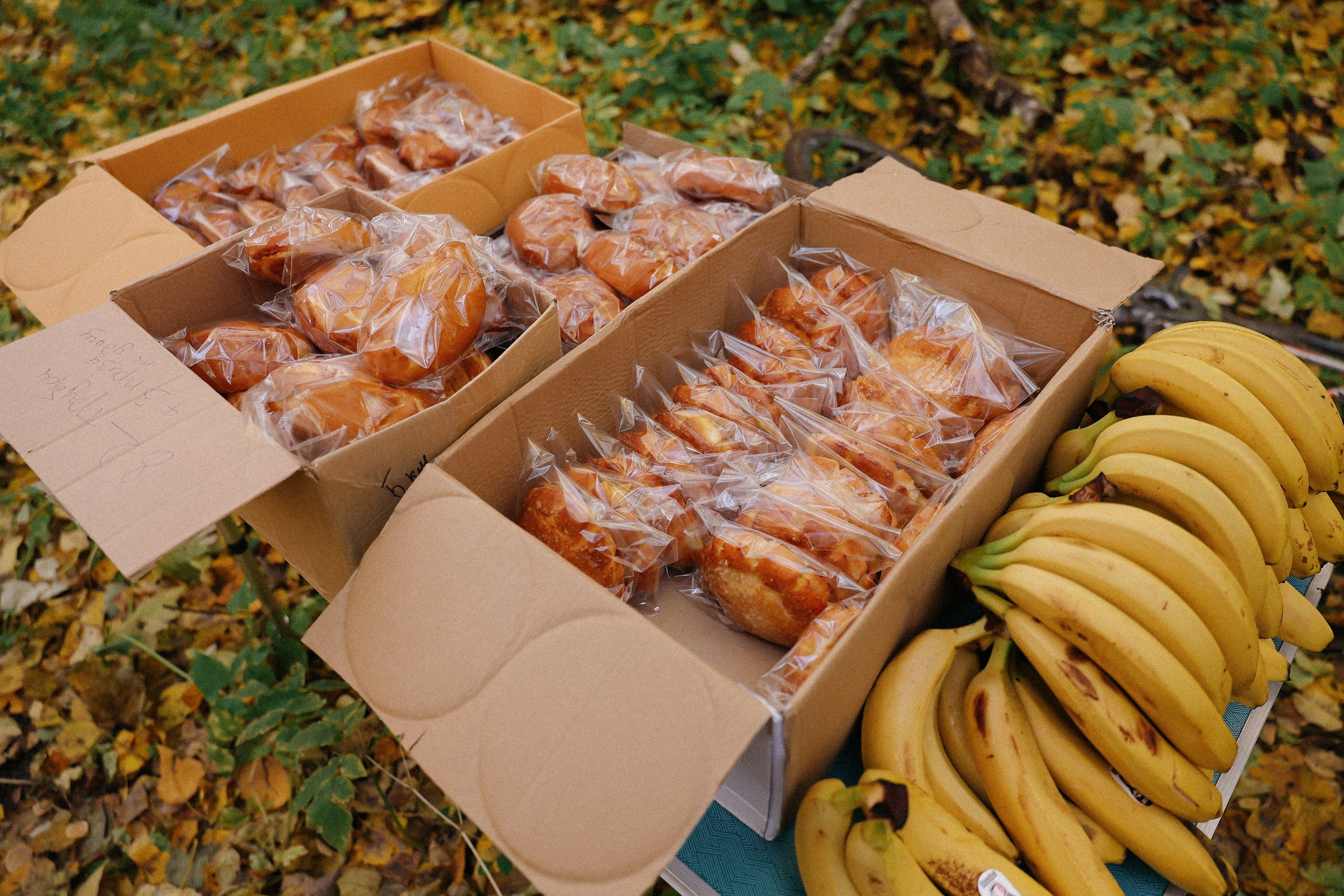 /РЕПОРТАЖ/ ТИПО-ЦИКЛОКРОСС-3. 2024. Свадебный фотограф Великий Новгород Станислав Кособудский