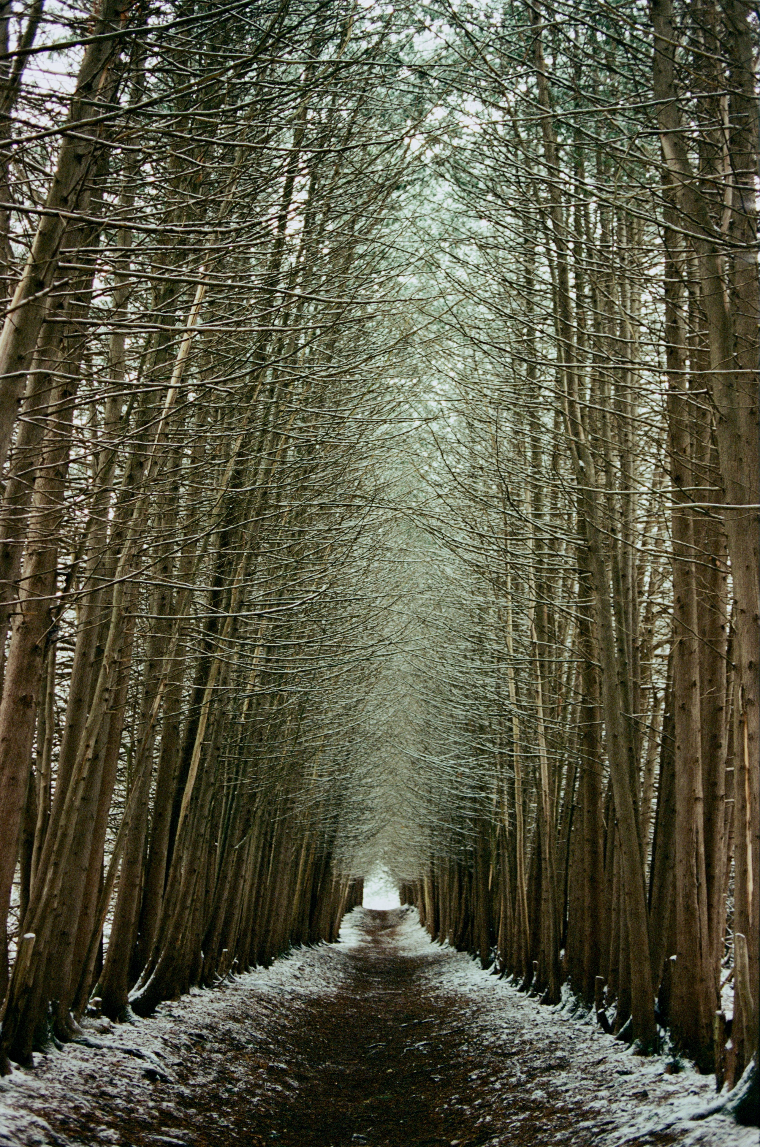 Film. Ruslan UI Dev Page