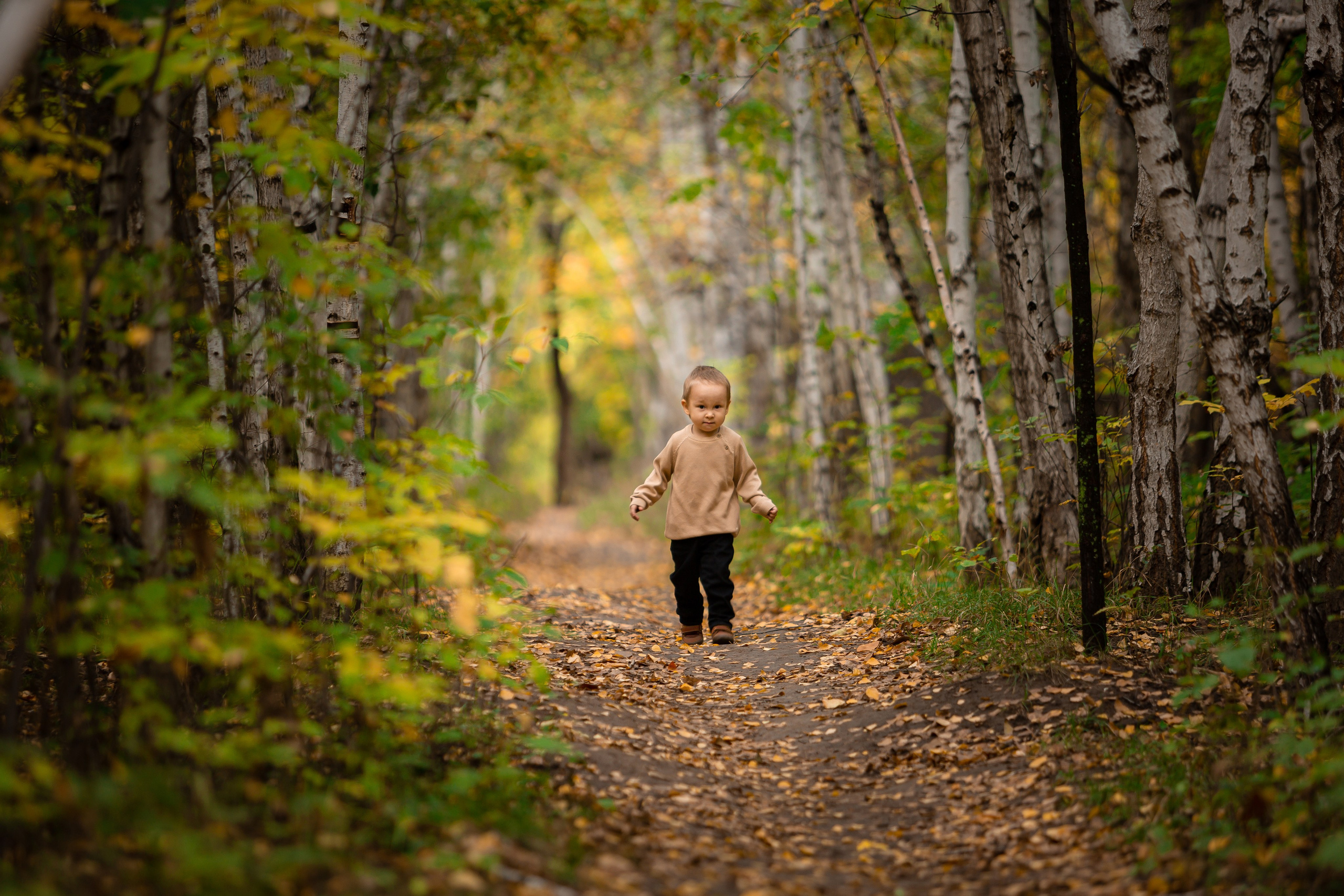 Роща Баума. Осенняя фотопрогулка. Отбасылық фотограф Алена Шаталова