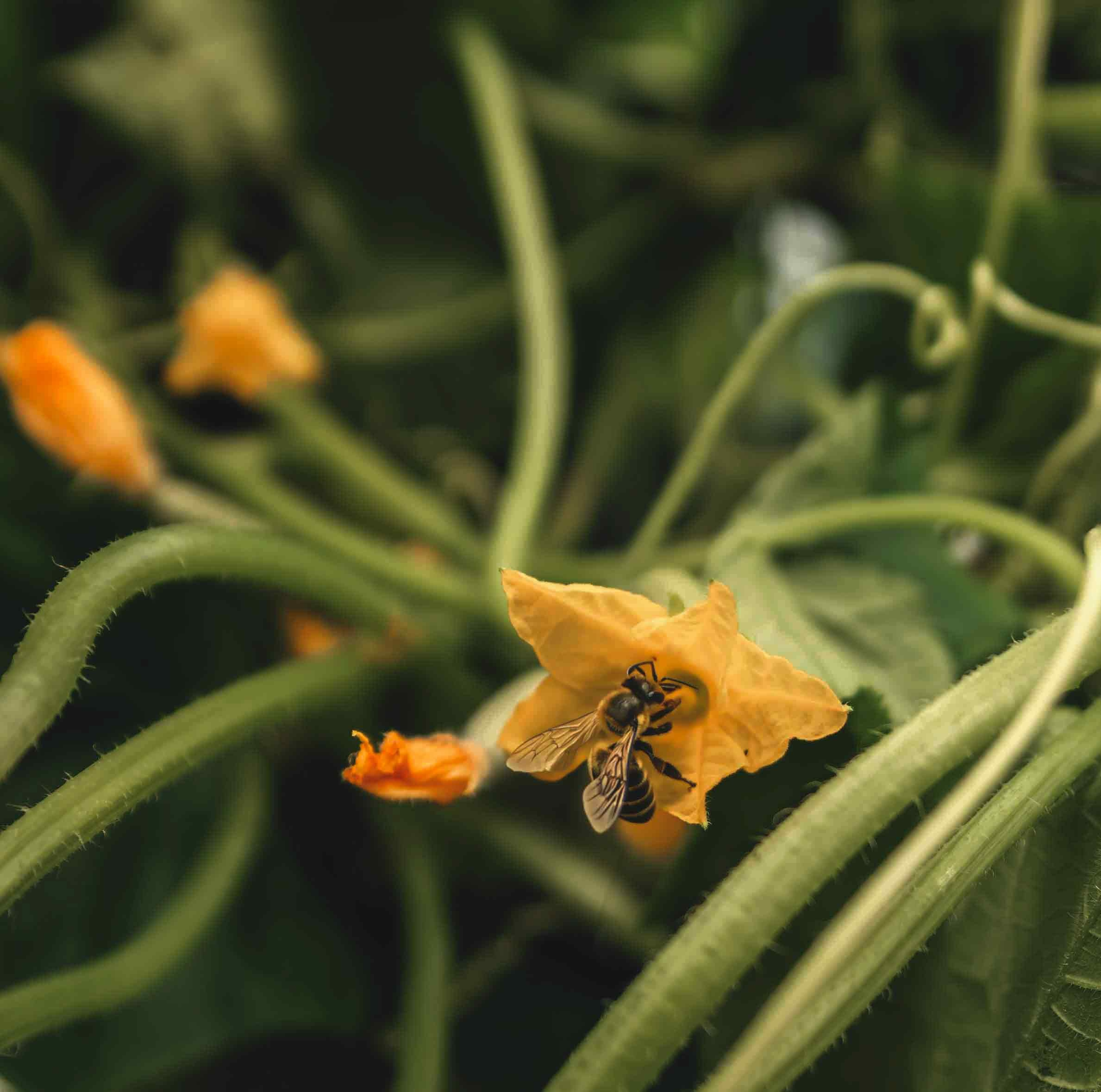 Детская фотосессия. Семейный, свадебный и детский фотограф в Новосибирске Ольга Хидченко
