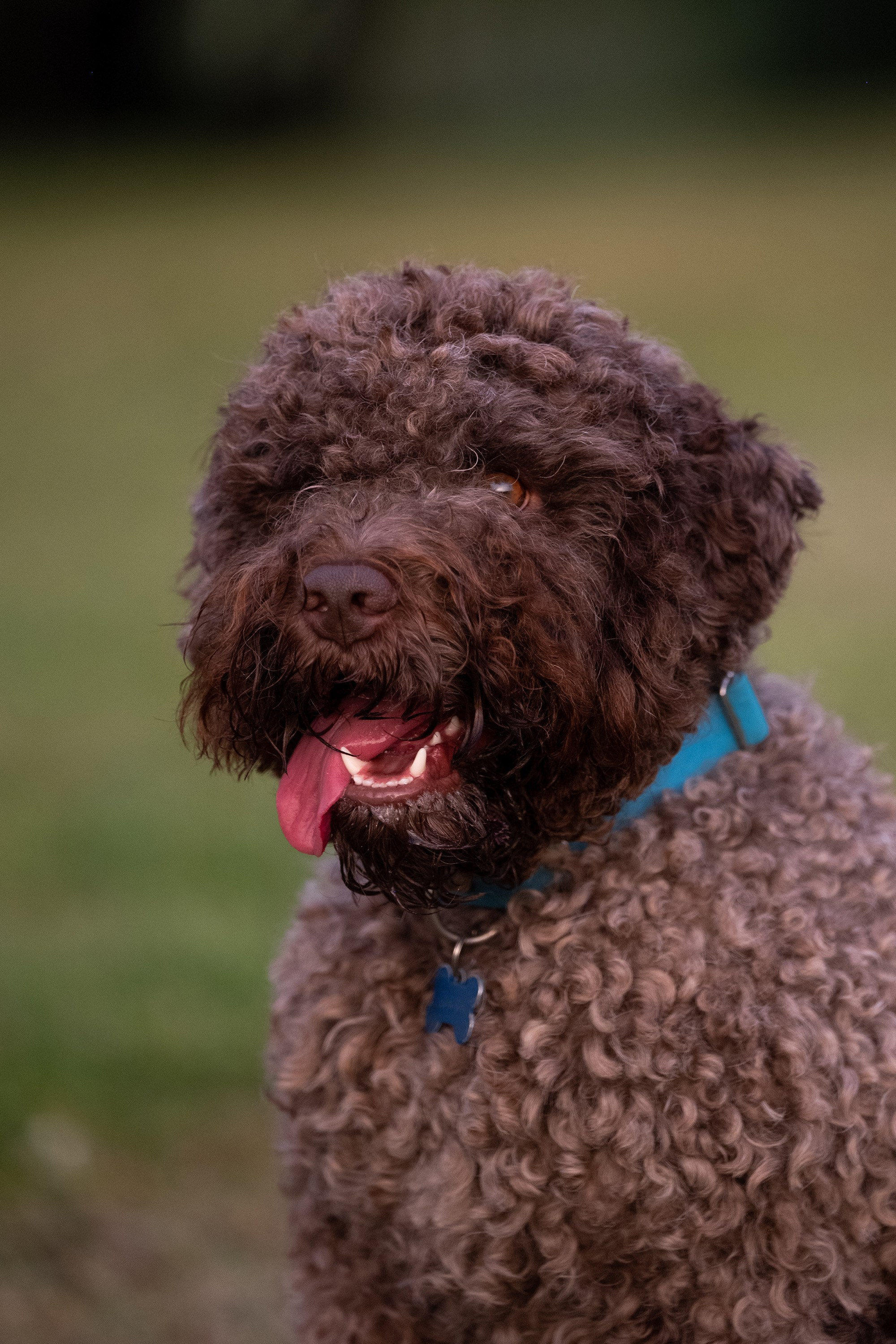 Утро с Лаготто романьоло 14 июля 2024. -