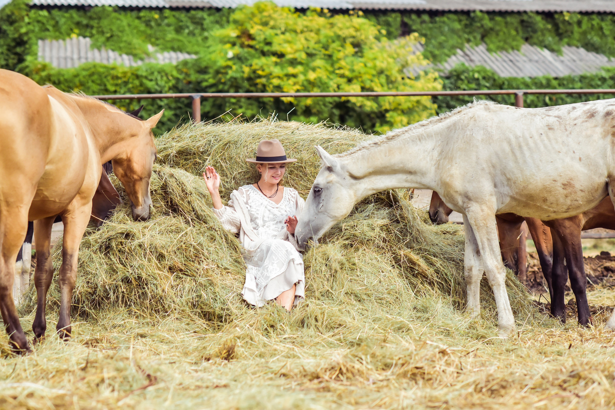 РАНЧО/ АВГУСТ. Фотограф для бизнесконтента, репортажей и семейного альбома в Москве