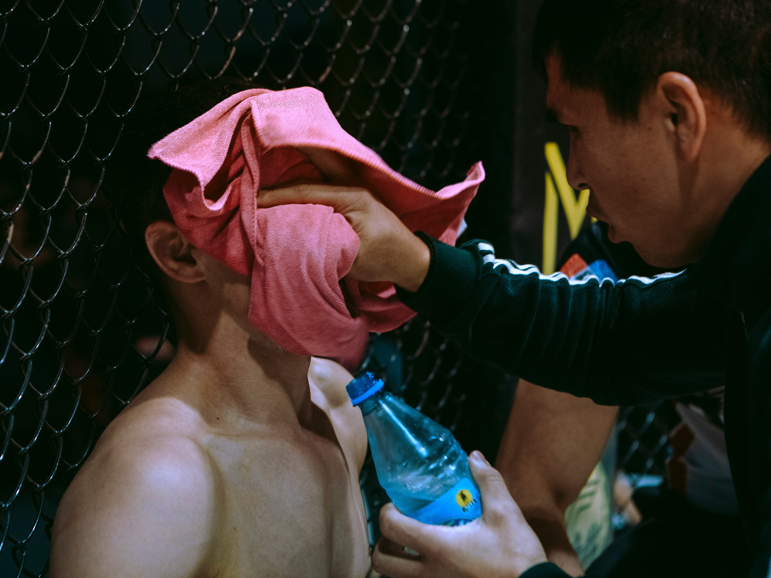 SFL 17 | Siberian Fighting League. Портретный фотограф в Москве Дарья Цезария