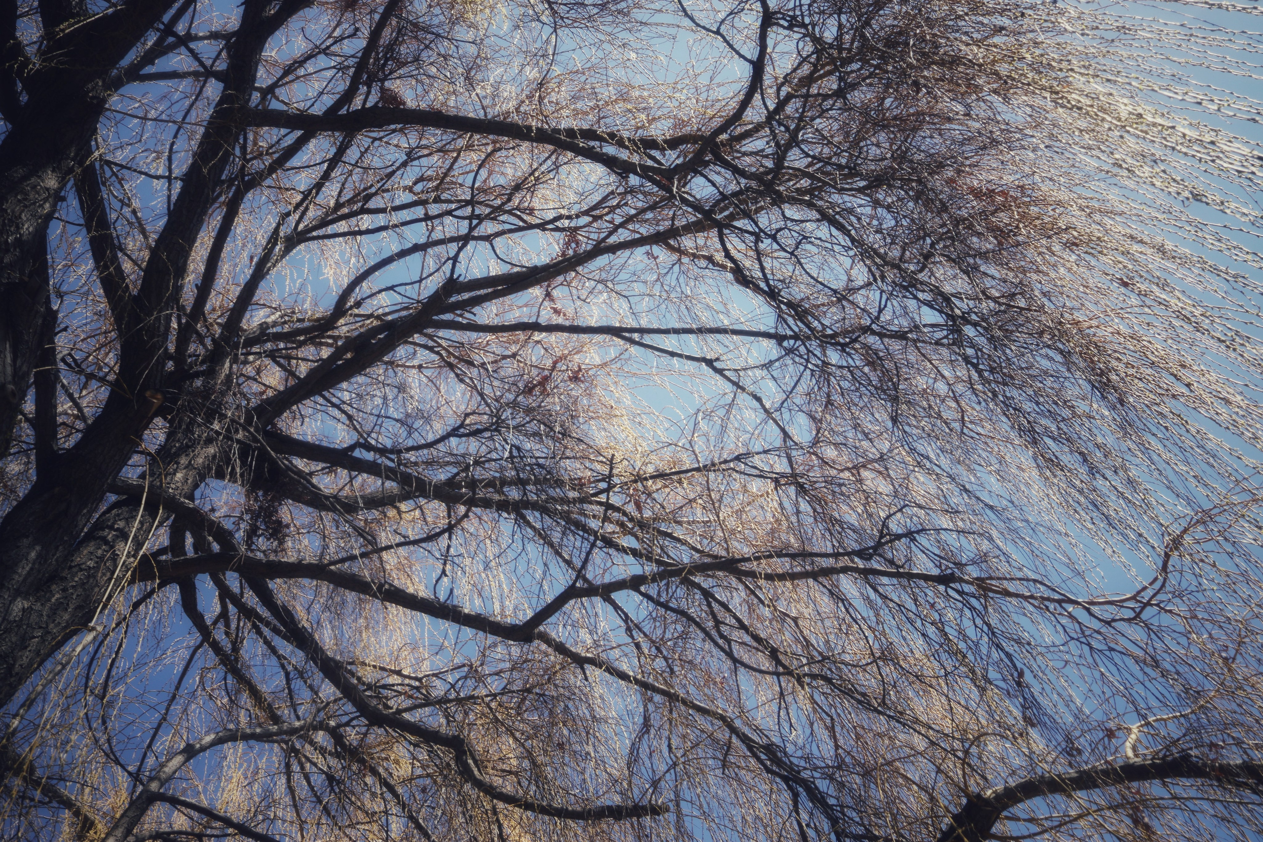 Around Issyk-Kul / Spring, Summer, Fall, Winter… and Spring. POLINA MÔMOT