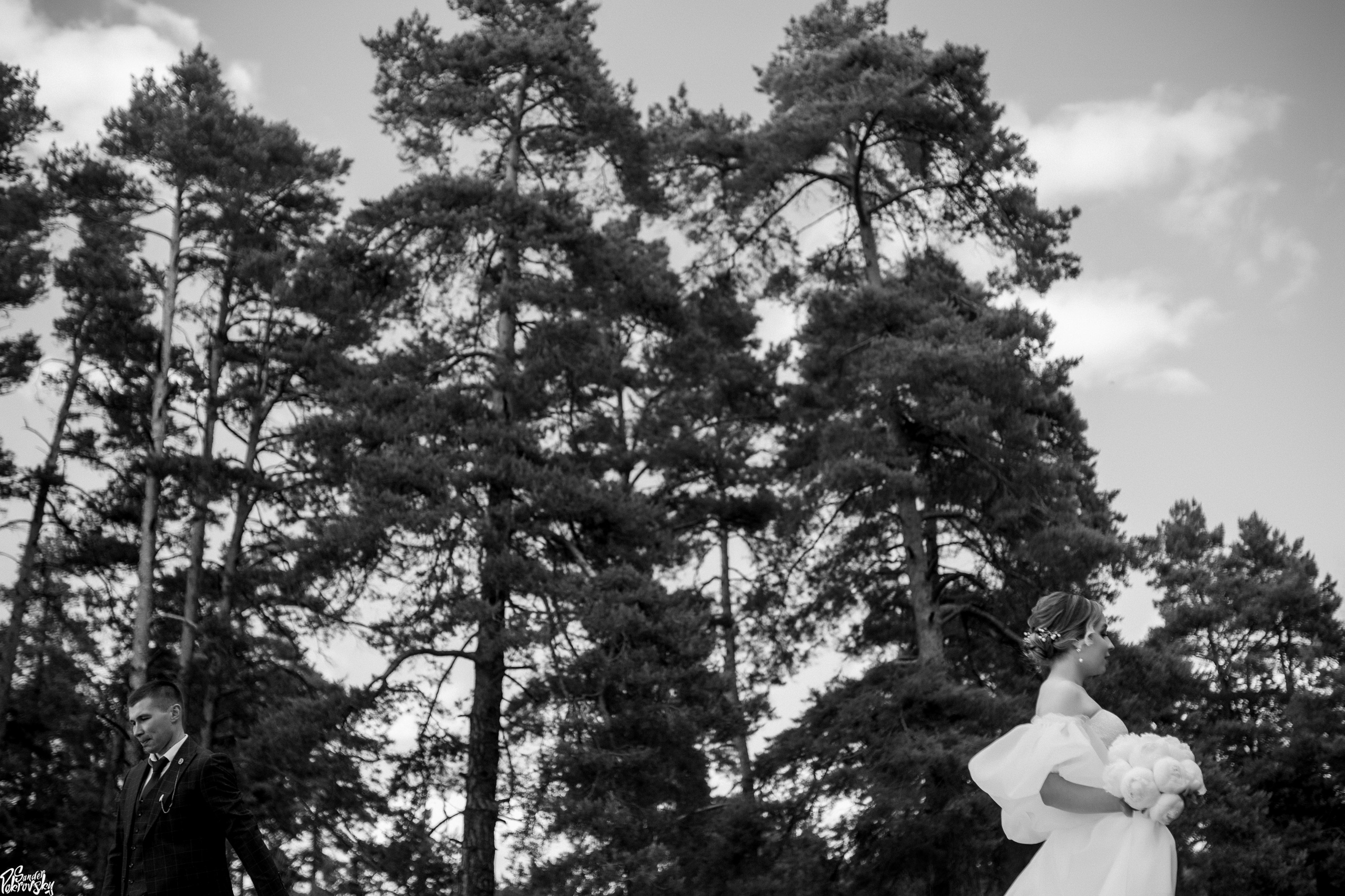 Анатолий & Дарья 10.06.2023. Свадебный и репортажный фотограф в Чебоксарах Покровский Александр