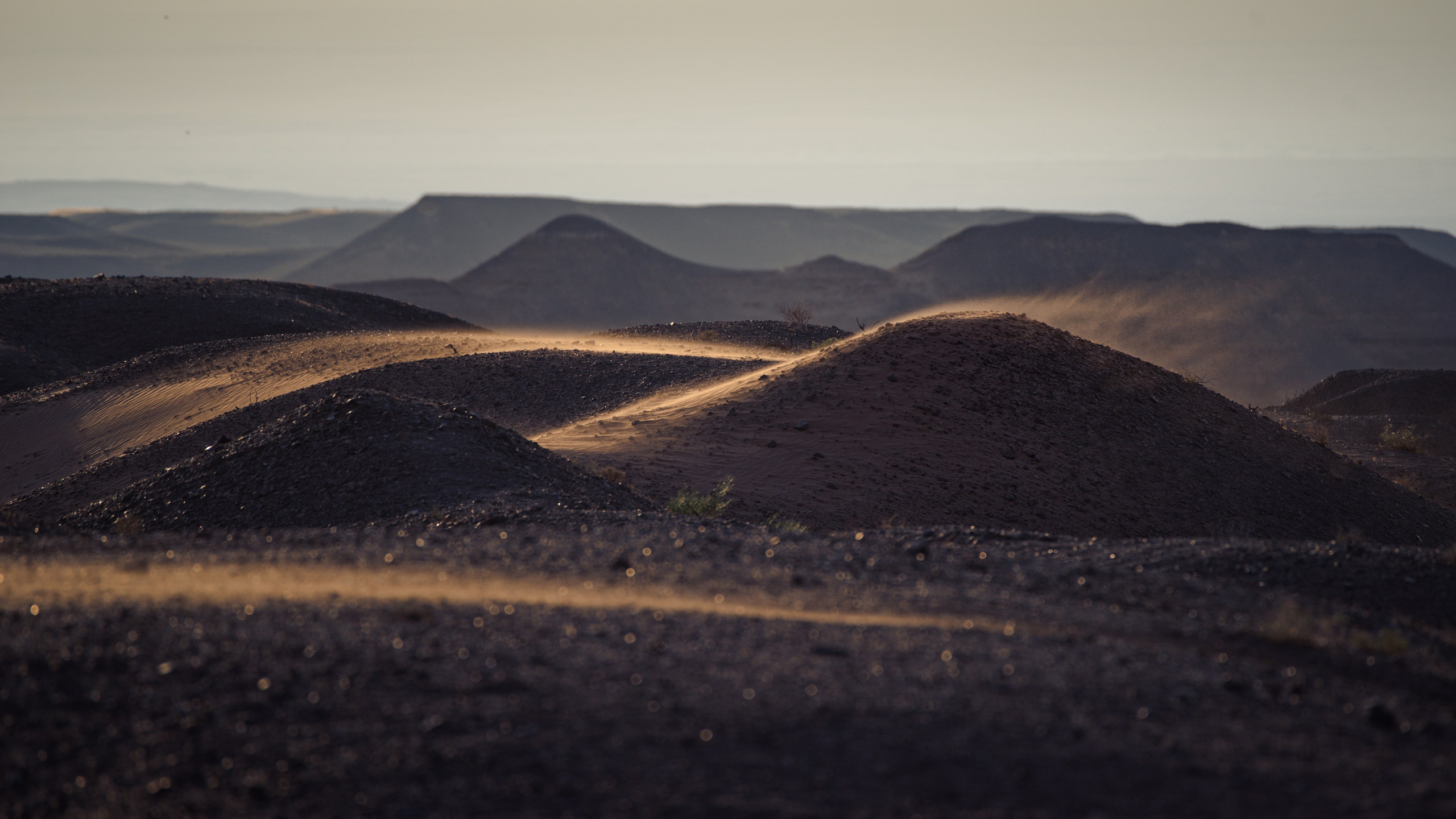 Экспедиция в Монголию (Гоби). Семоха Валерий. Фотограф